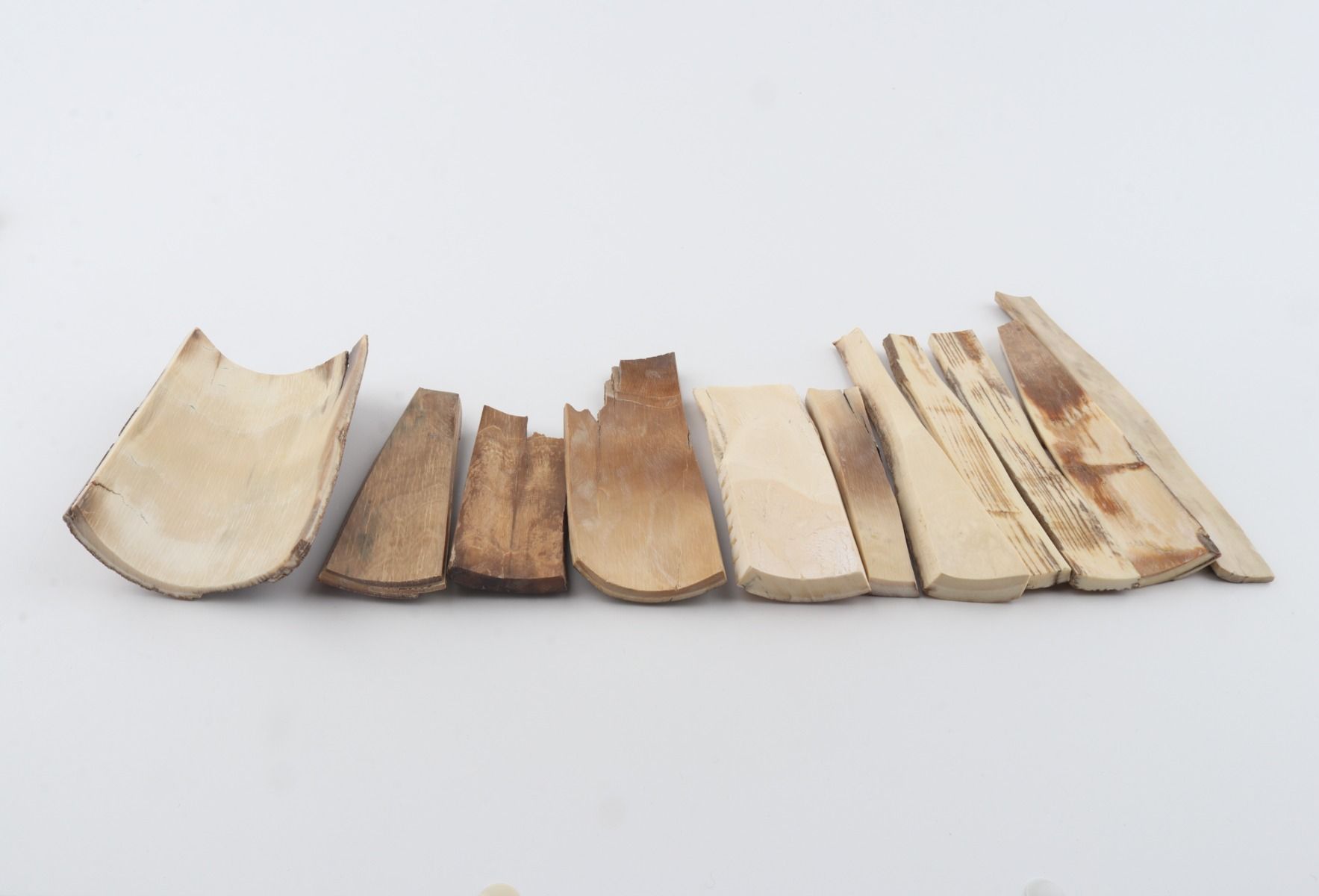 Natural mammoth bark pieces