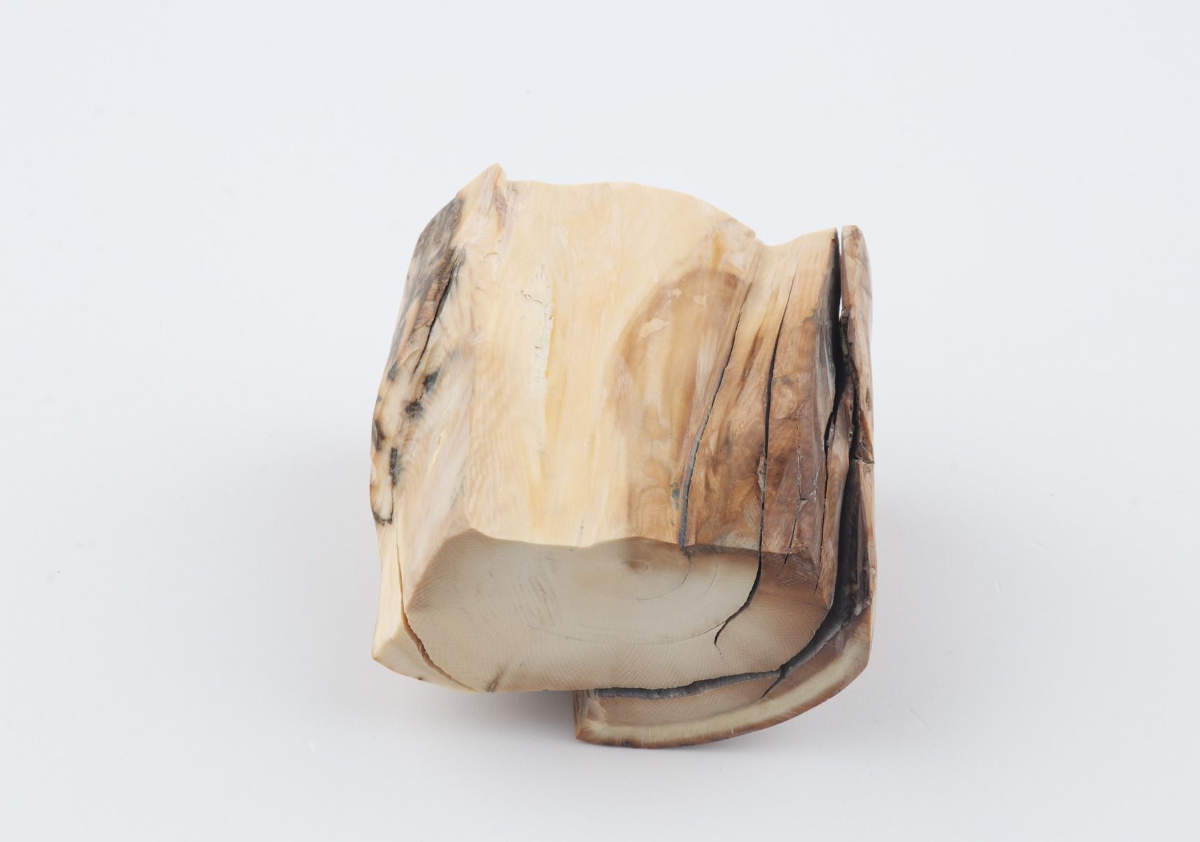 Natural woolly mammoth tusk piece