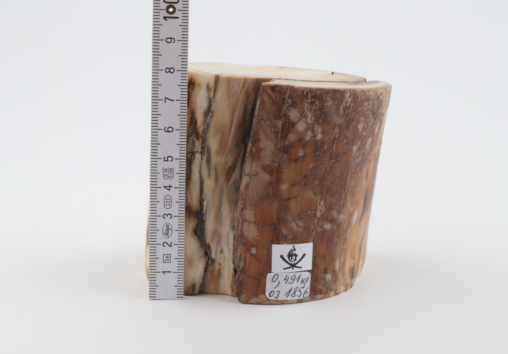 Natural woolly mammoth tusk piece