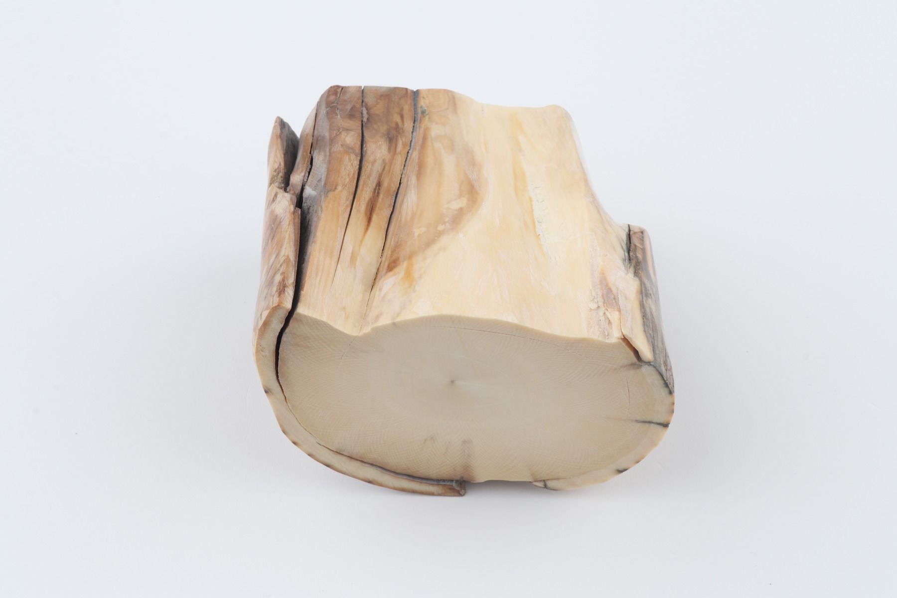Natural woolly mammoth tusk piece