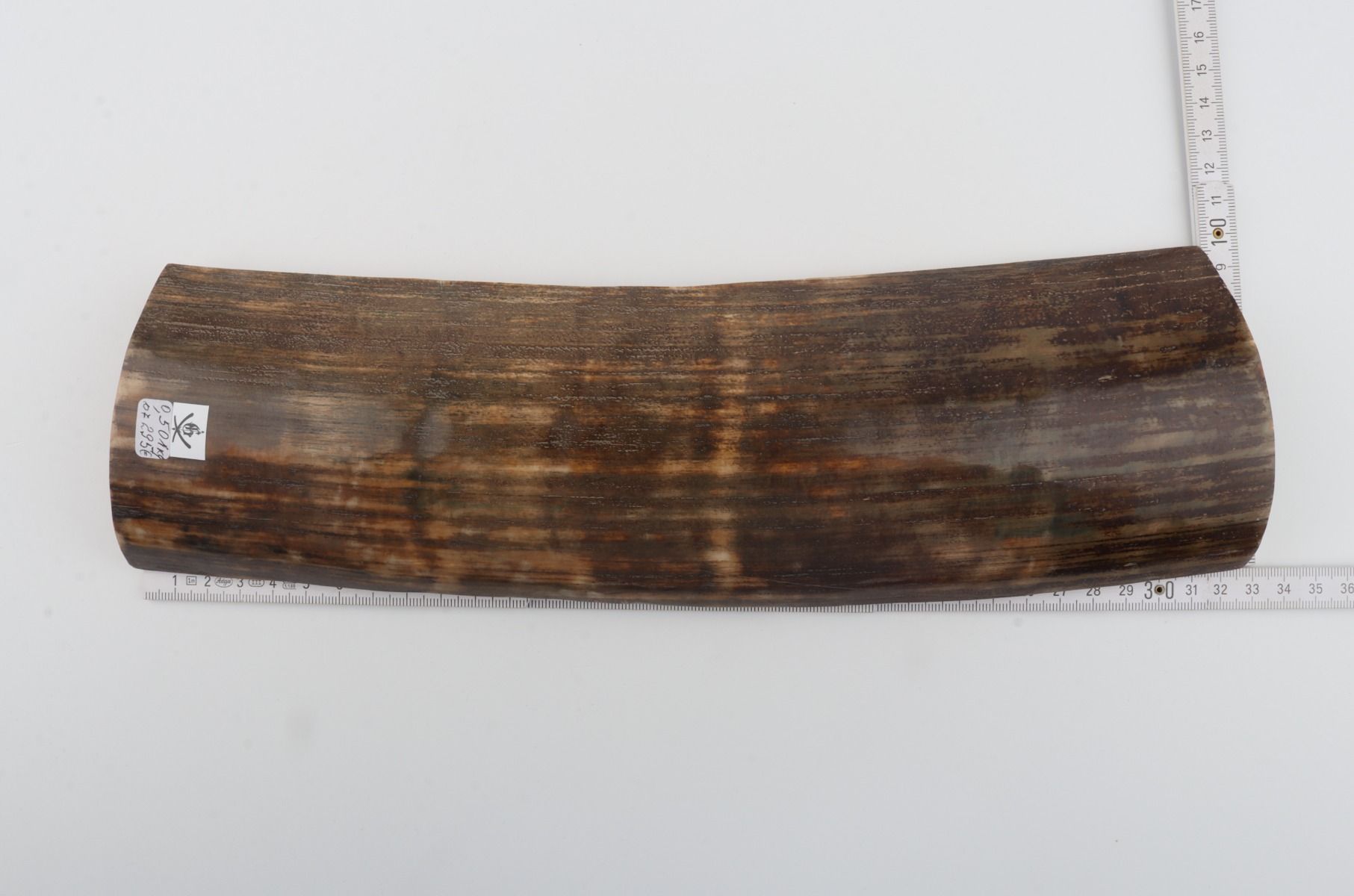 Brown-green mammoth bark