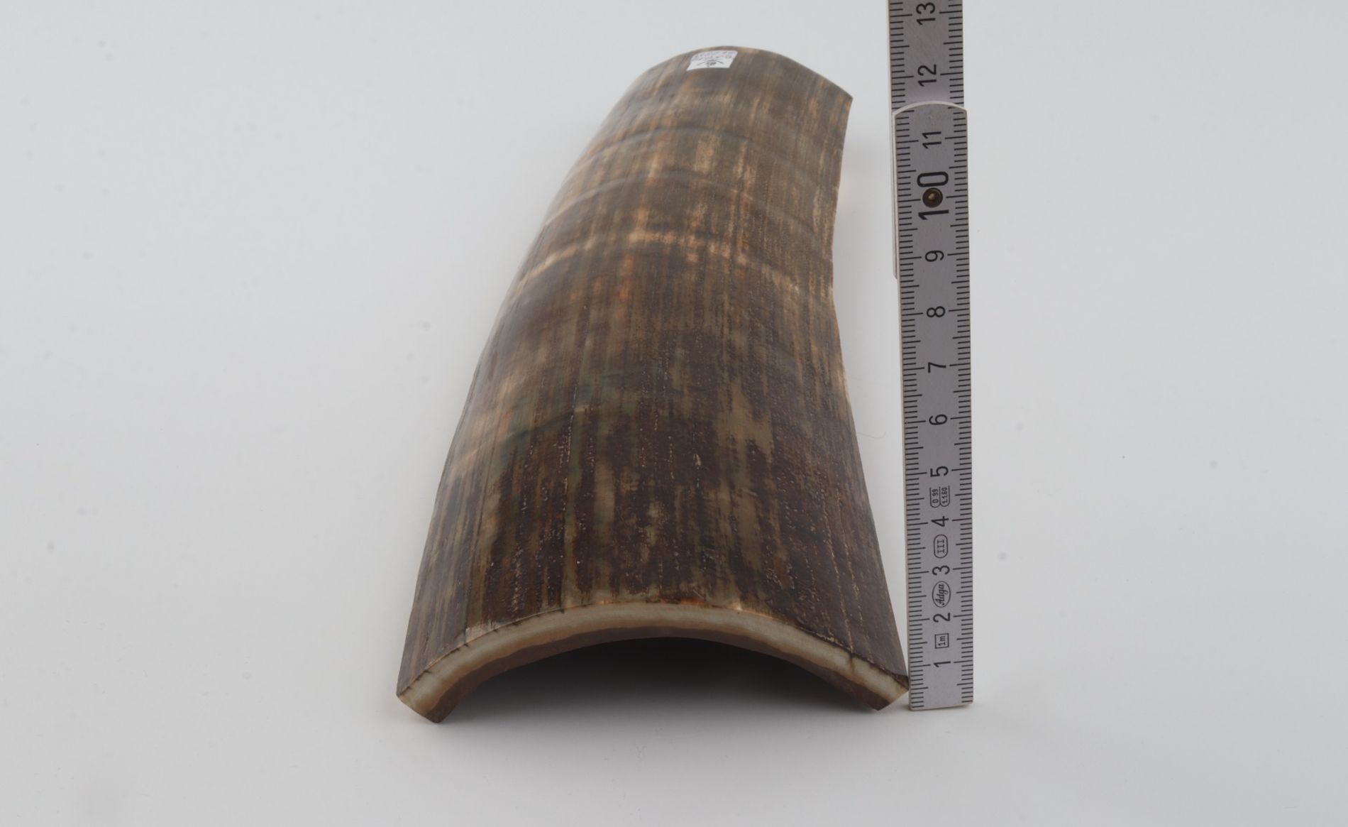Brown-green mammoth bark