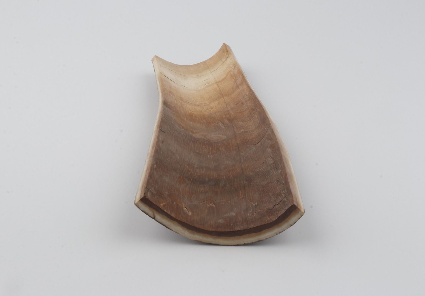 Brown-green mammoth bark