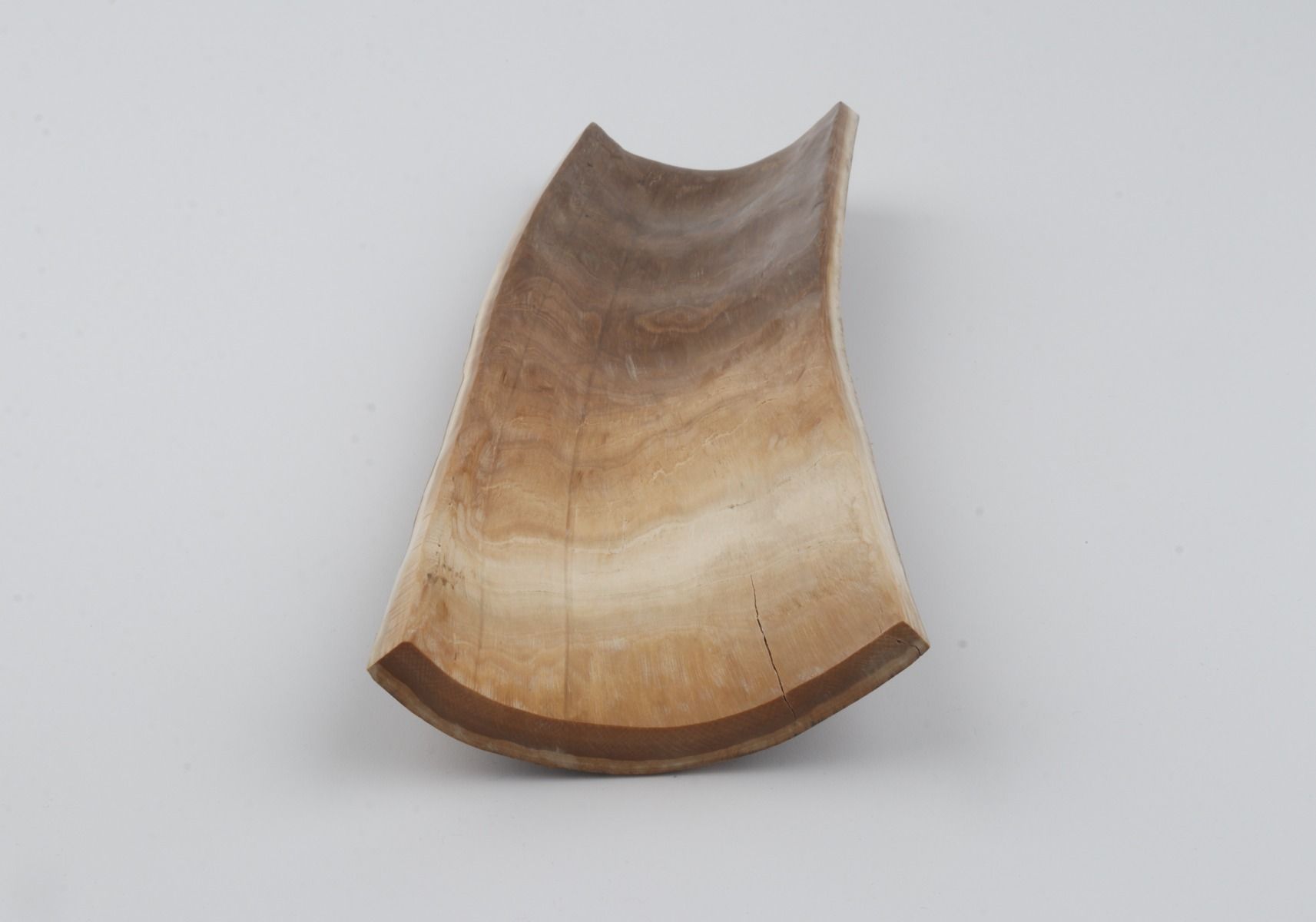 Brown-green mammoth bark