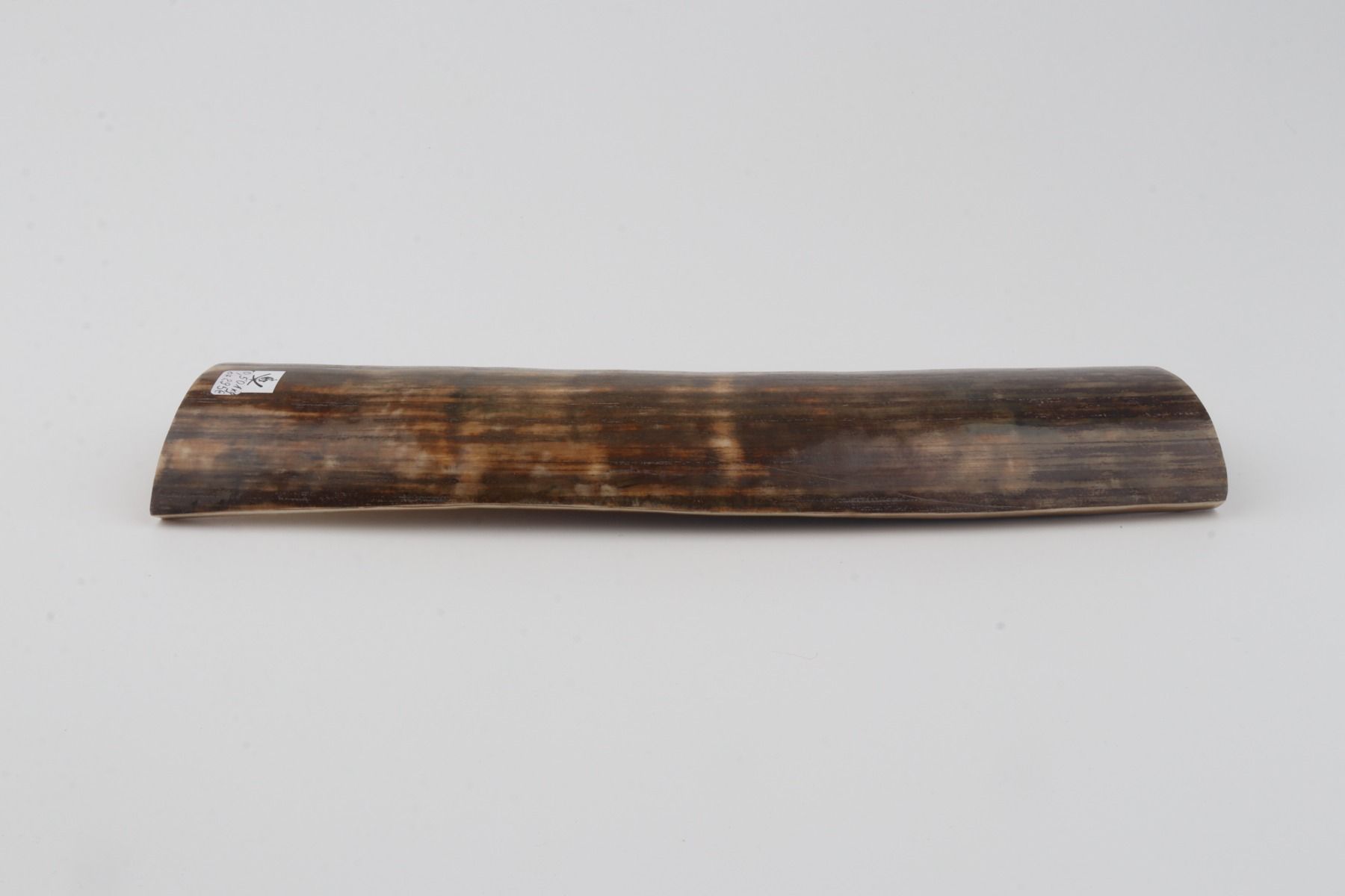 Brown-green mammoth bark