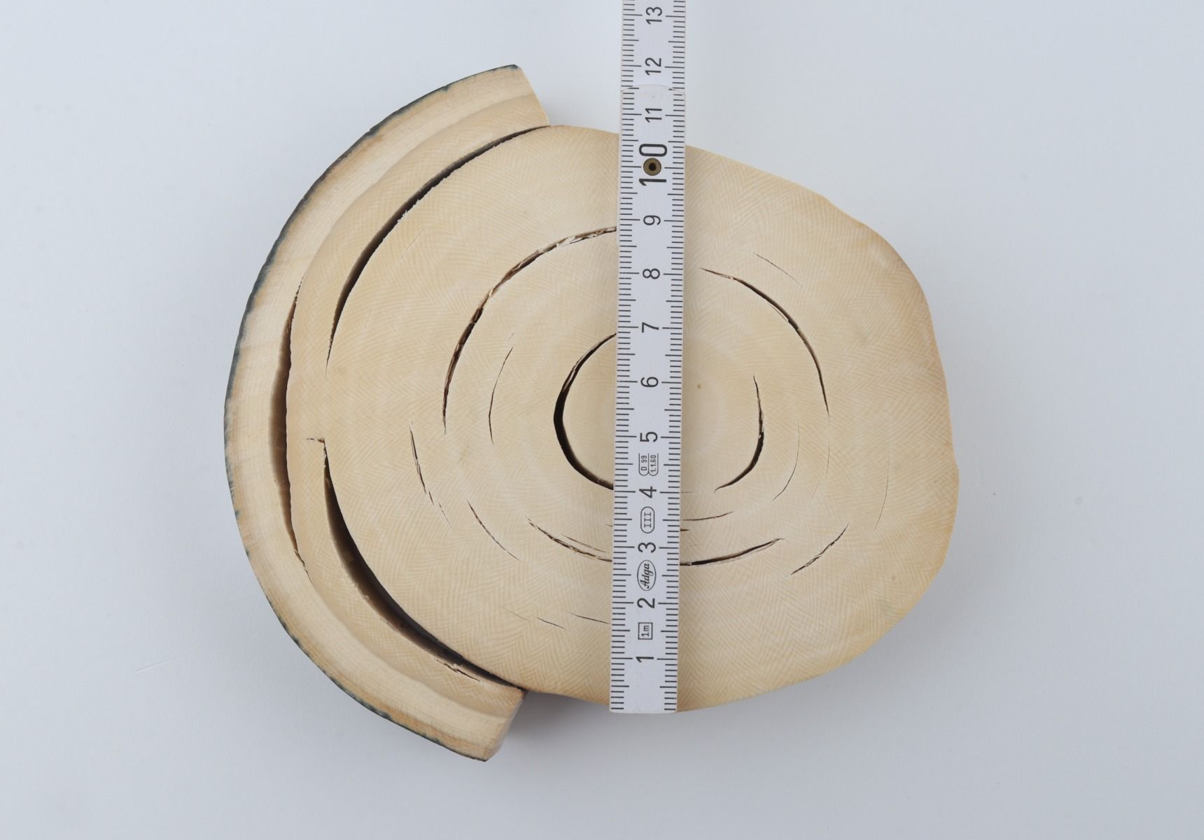 Round mammoth ivory piece
