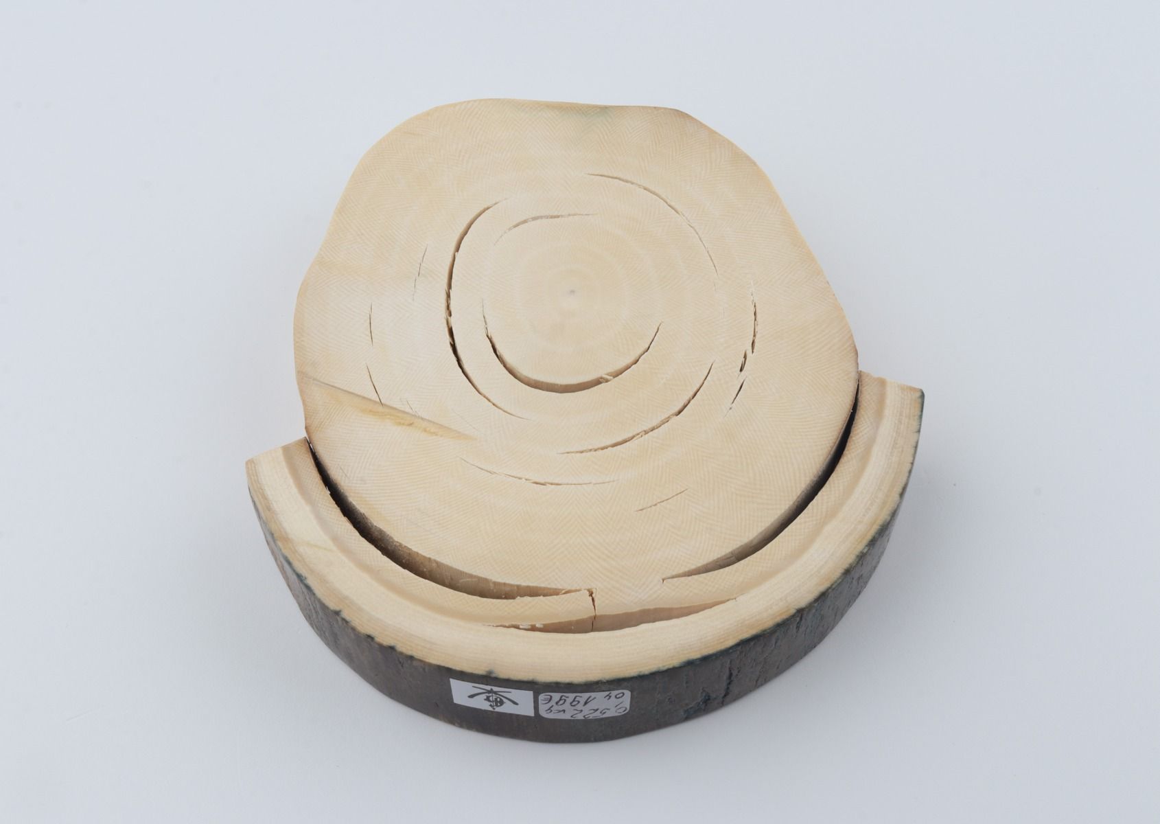 Round mammoth ivory piece