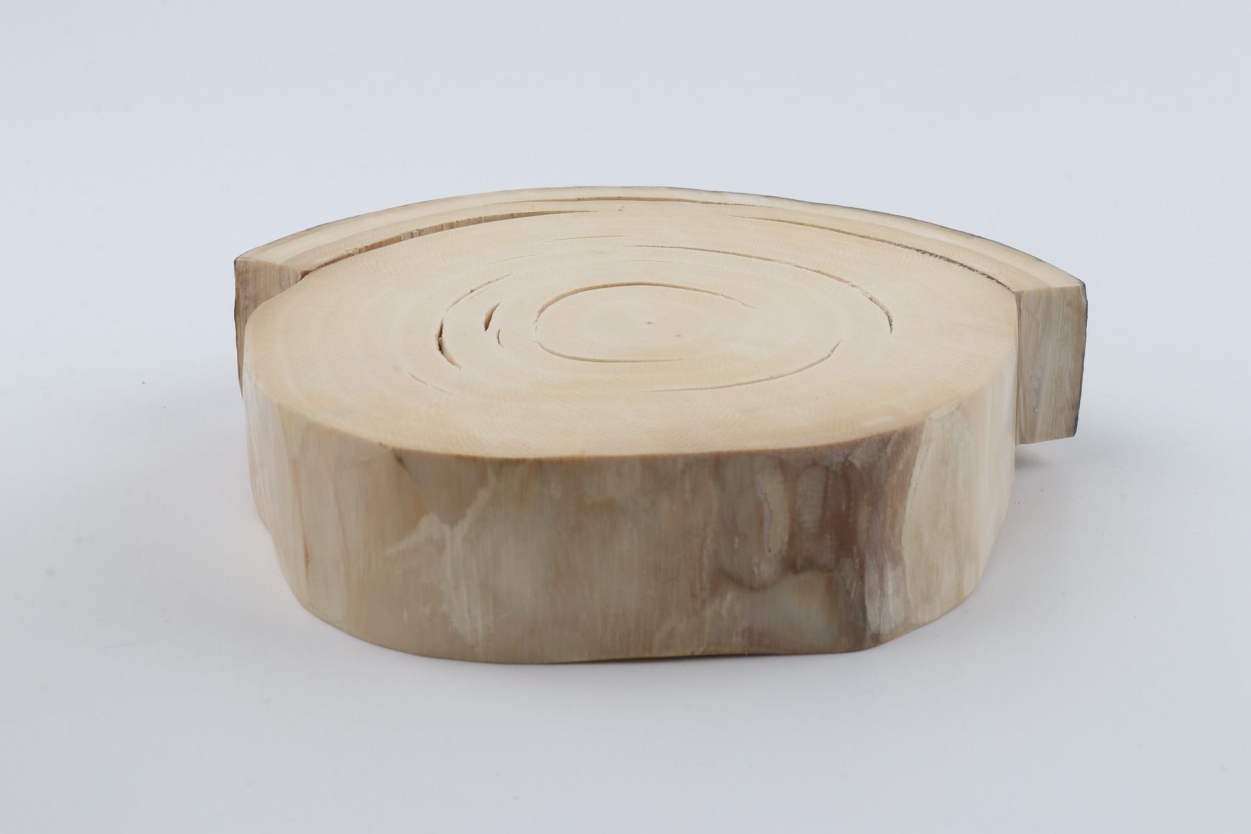 Round mammoth ivory piece
