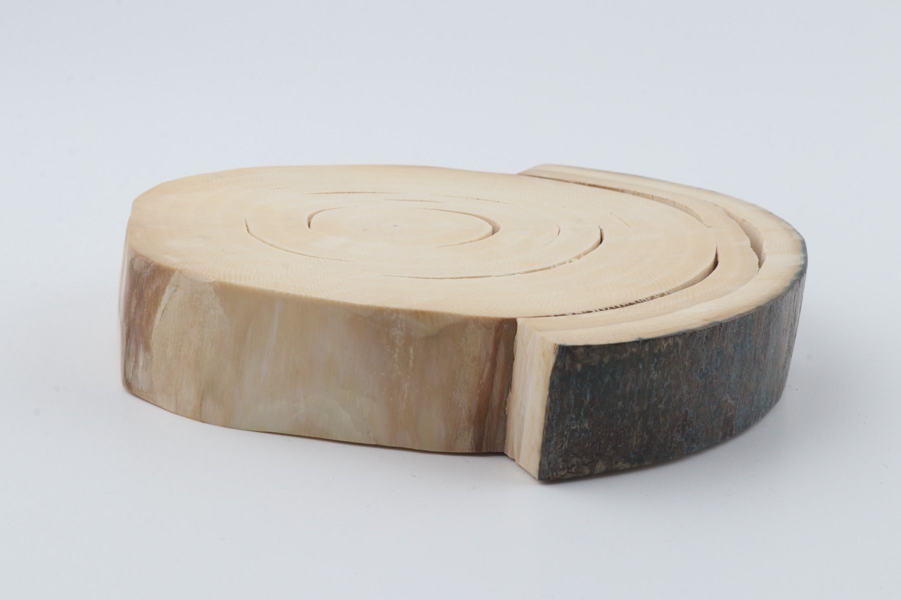 Round mammoth ivory piece
