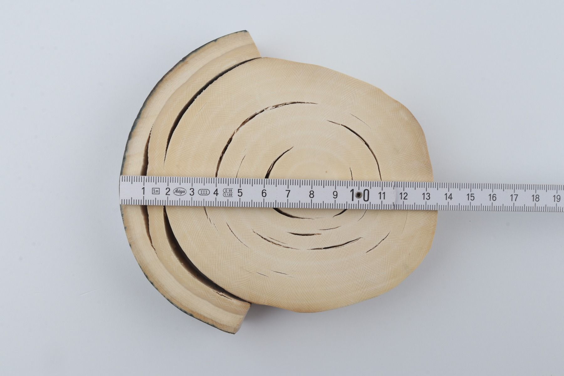 Round mammoth ivory piece