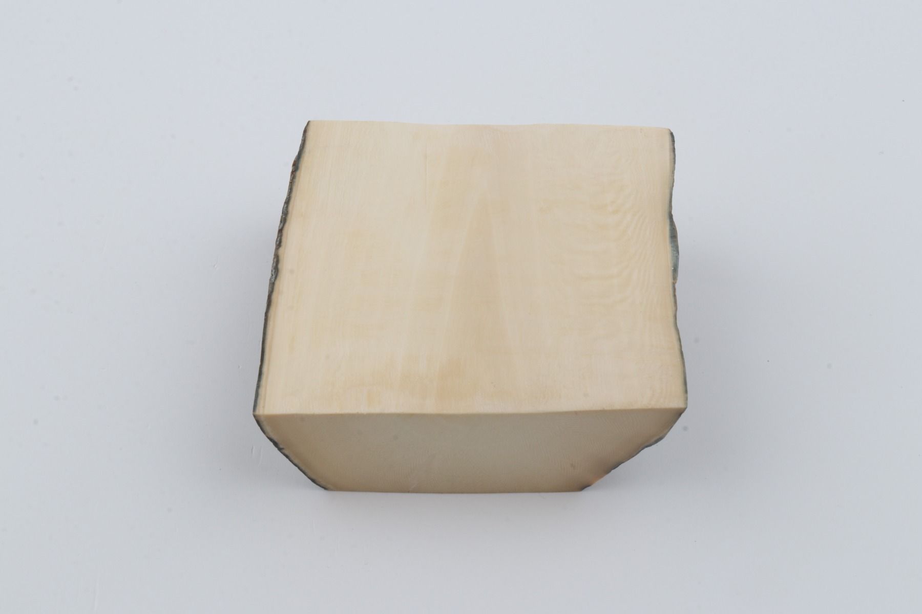 White mammoth ivory segment