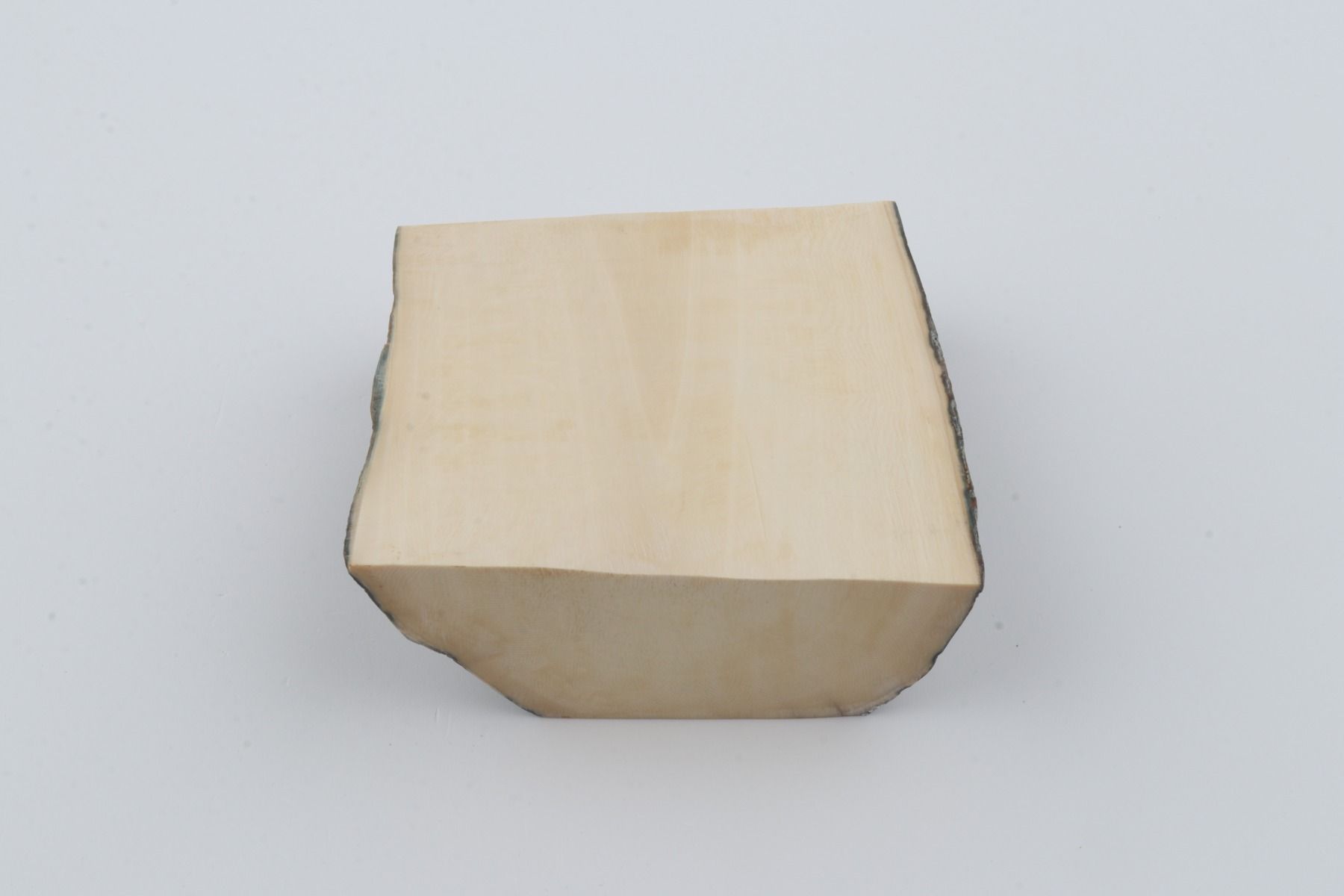 White mammoth ivory segment