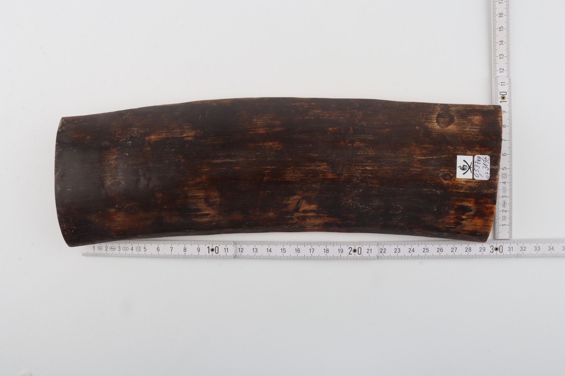 Brown mammoth bark
