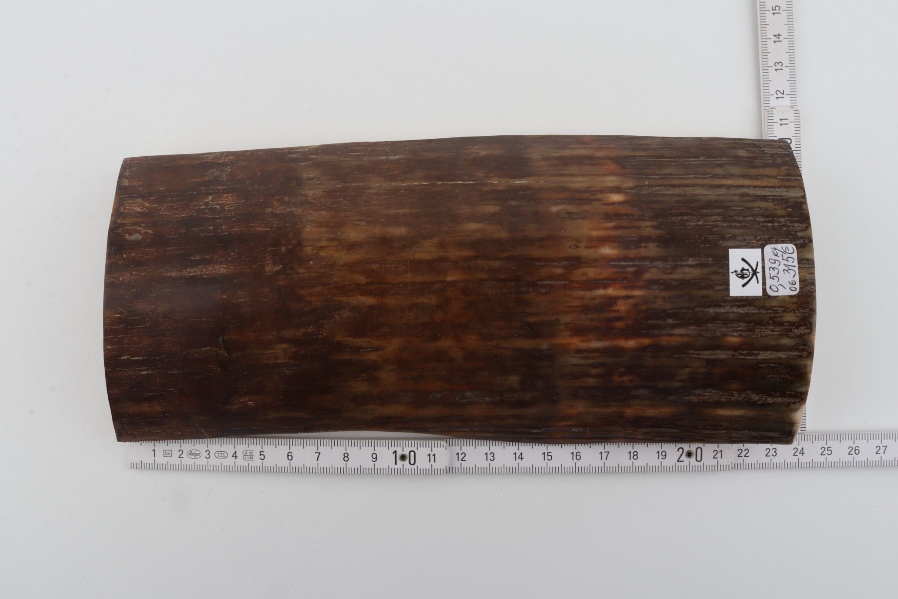 Brown-green mammoth bark