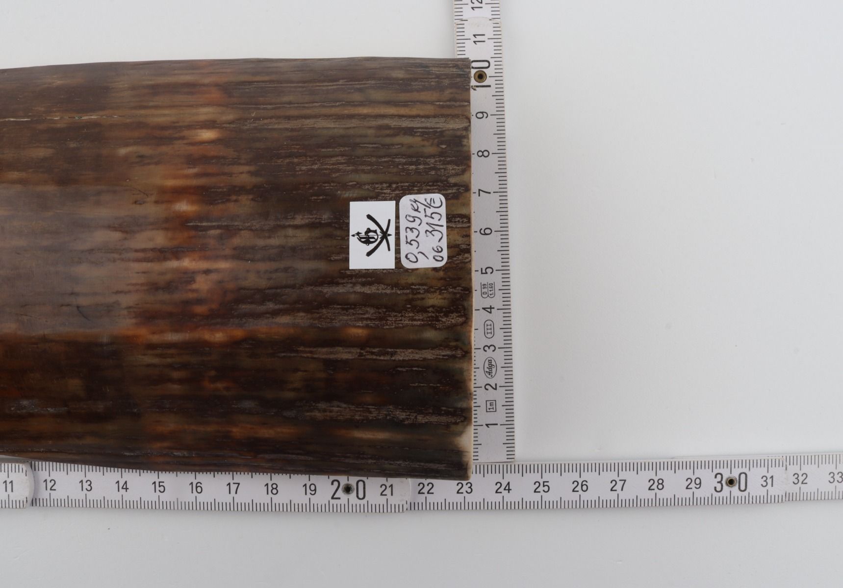 Brown-green mammoth bark