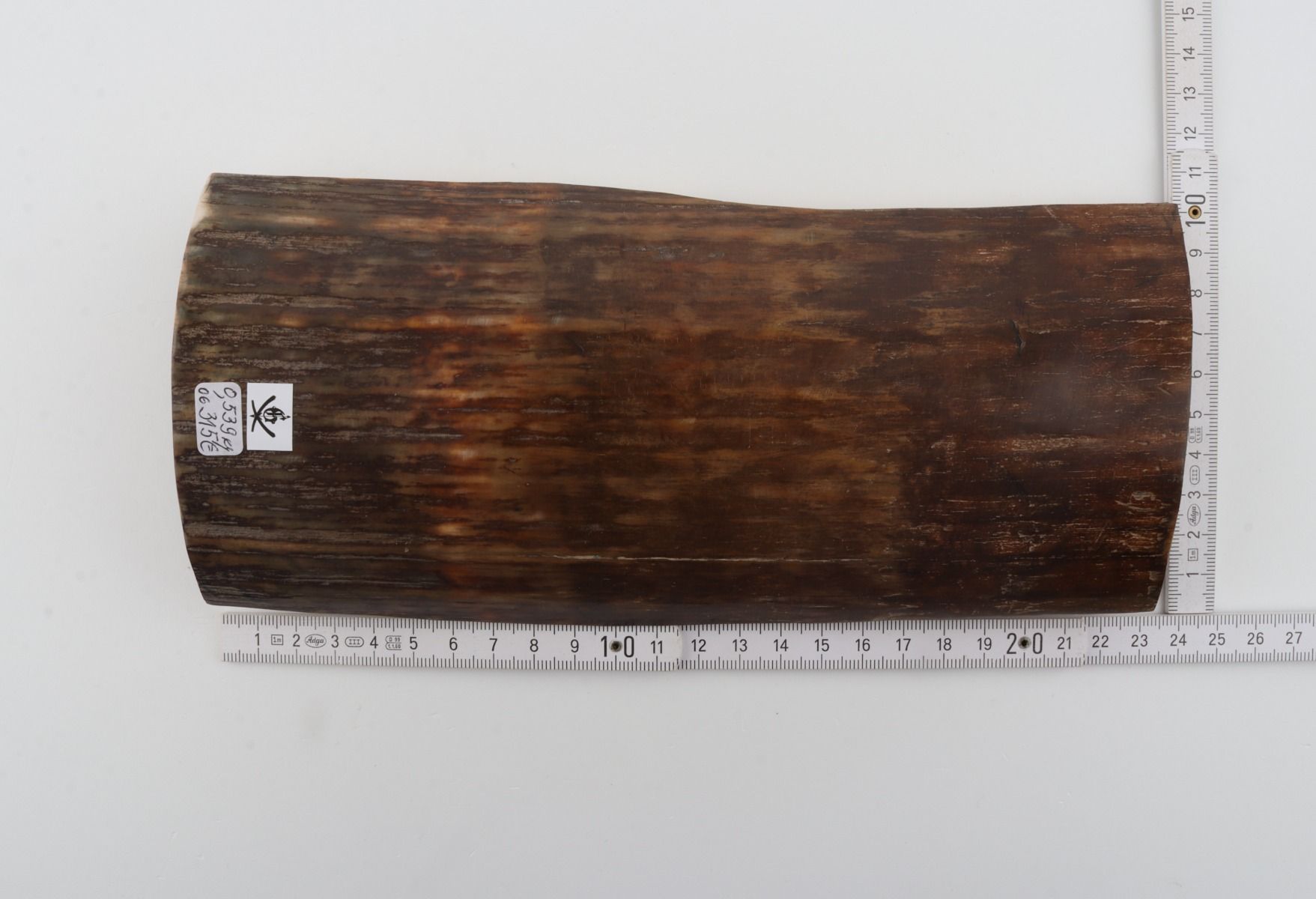 Brown-green mammoth bark