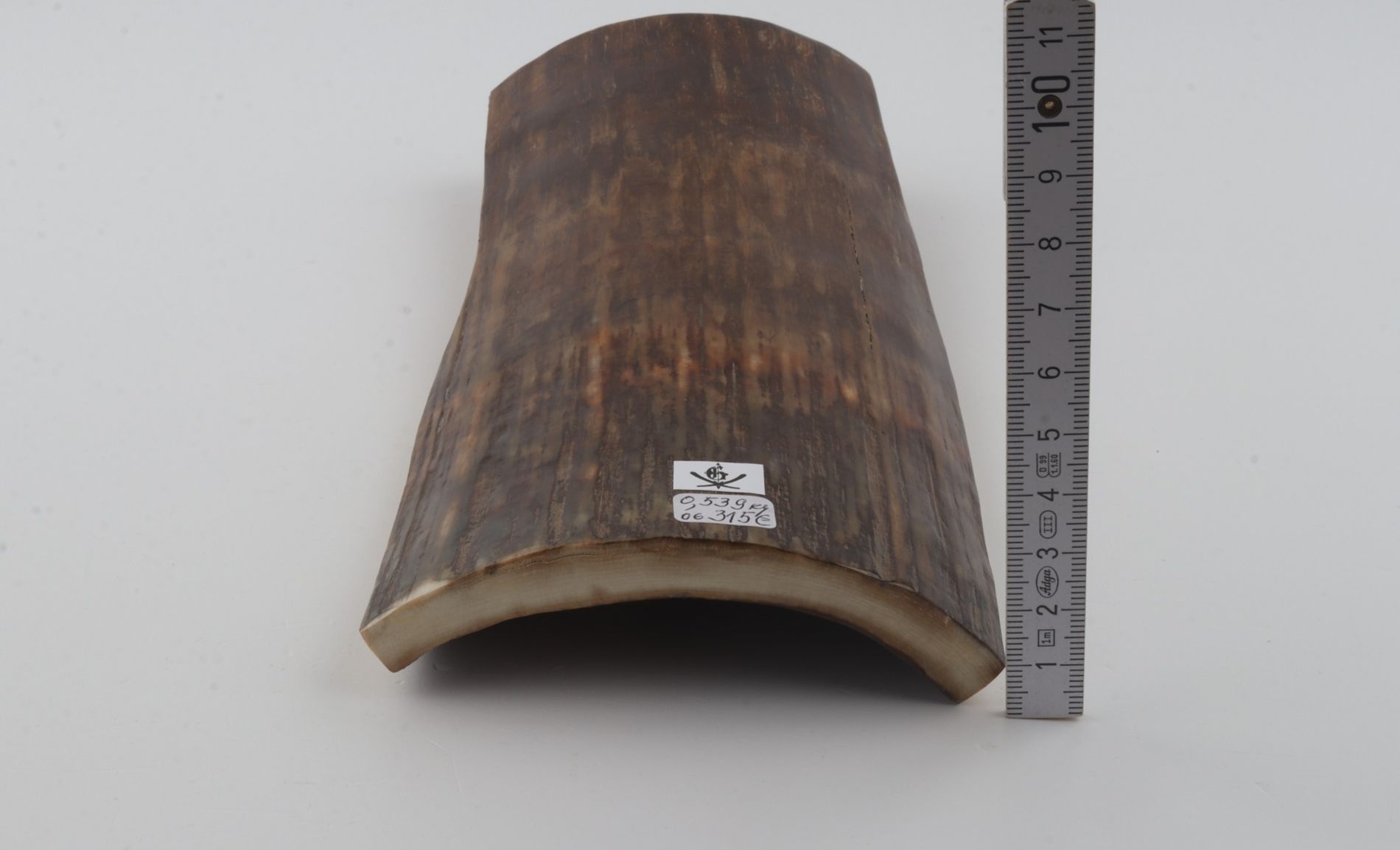 Brown-green mammoth bark