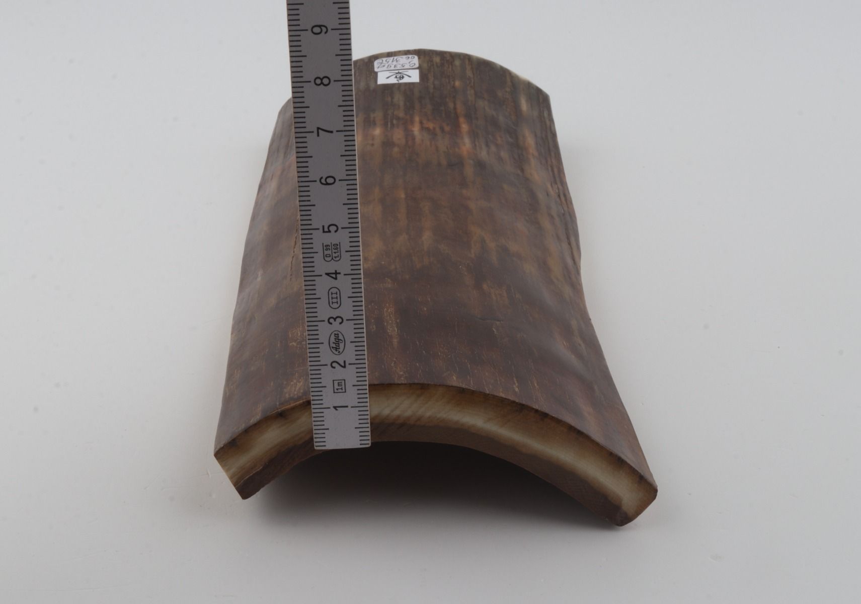 Brown-green mammoth bark