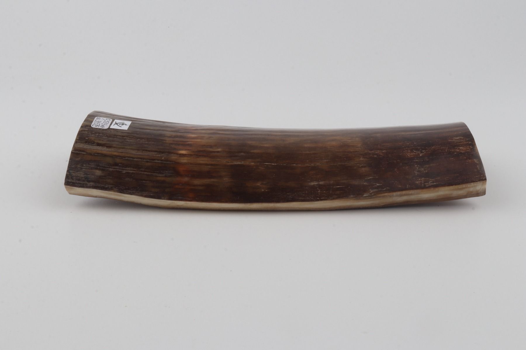 Brown-green mammoth bark