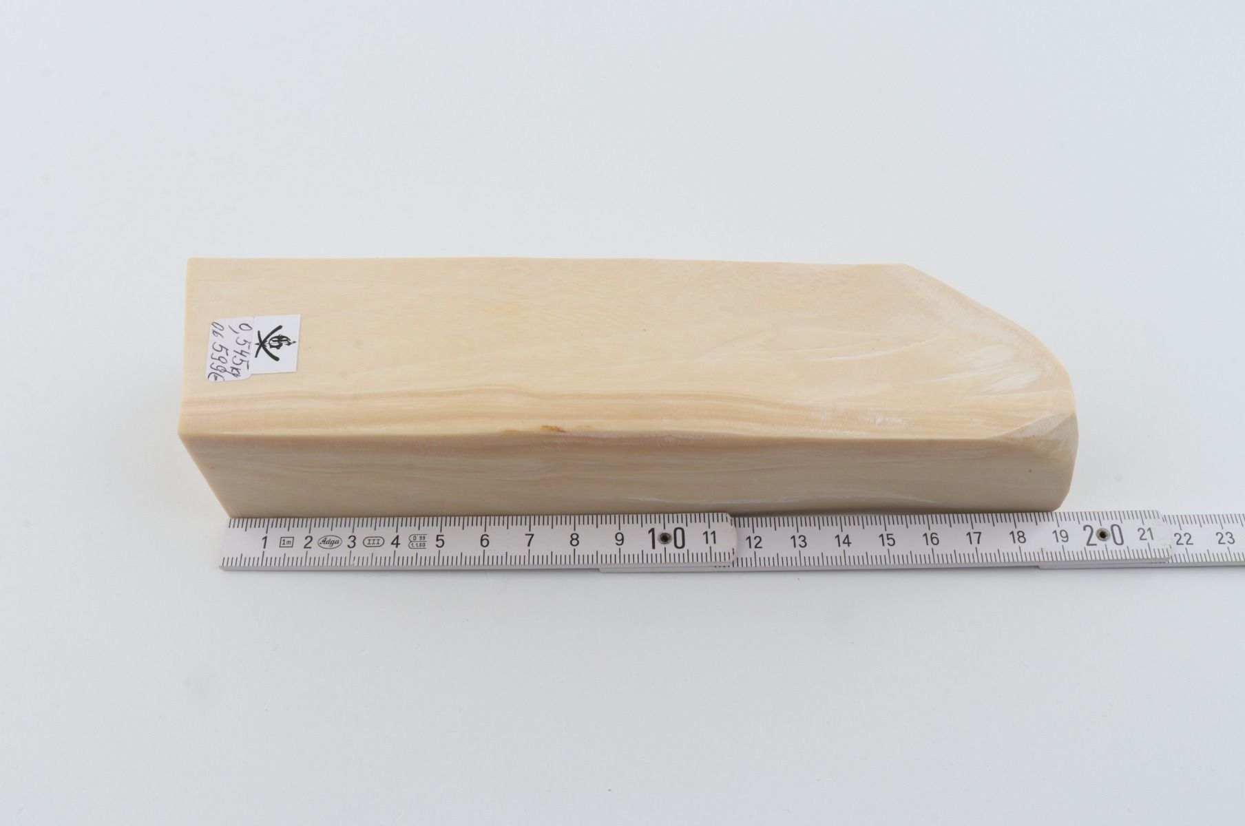 White mammoth ivory segment