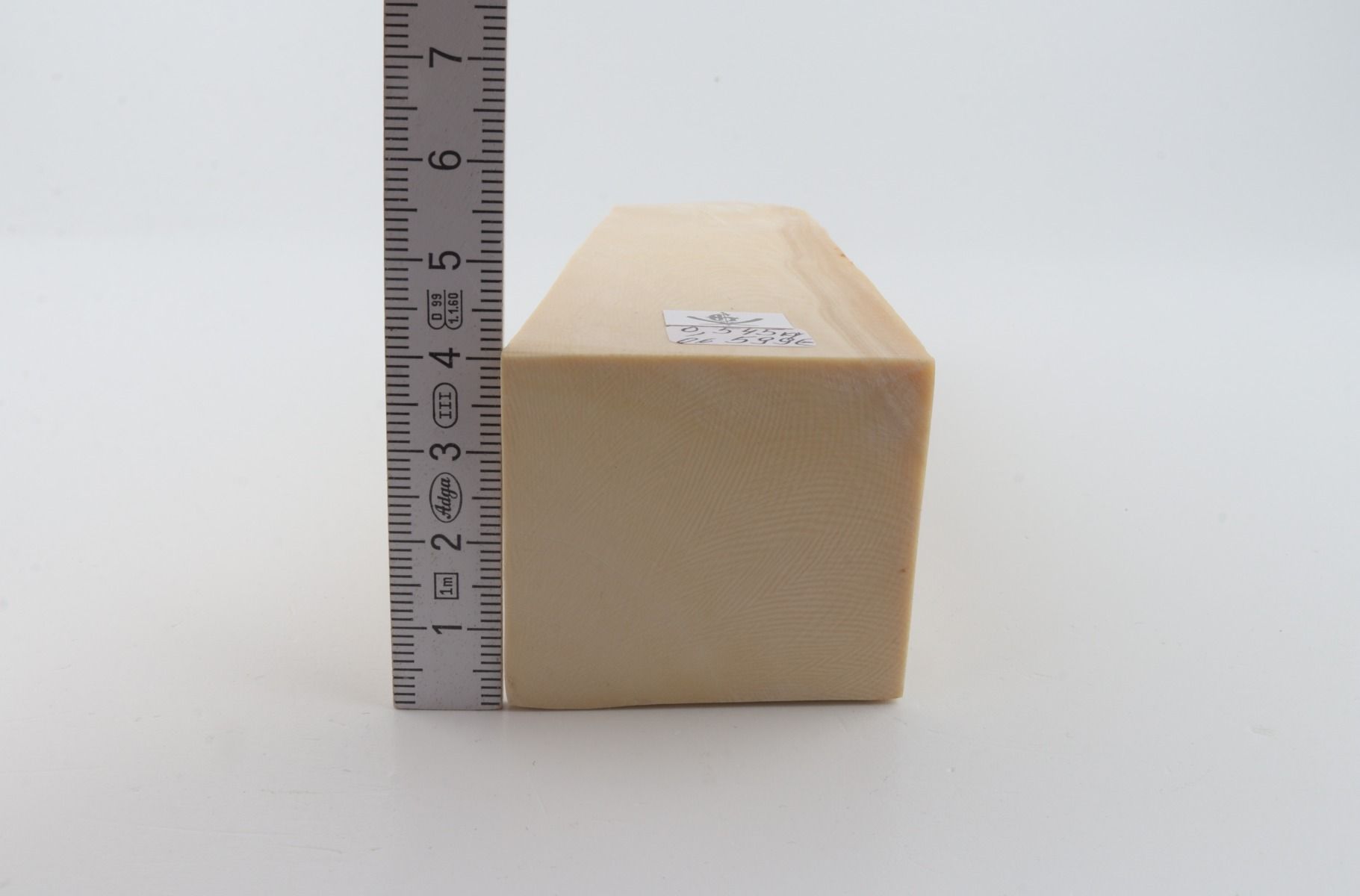 White mammoth ivory segment