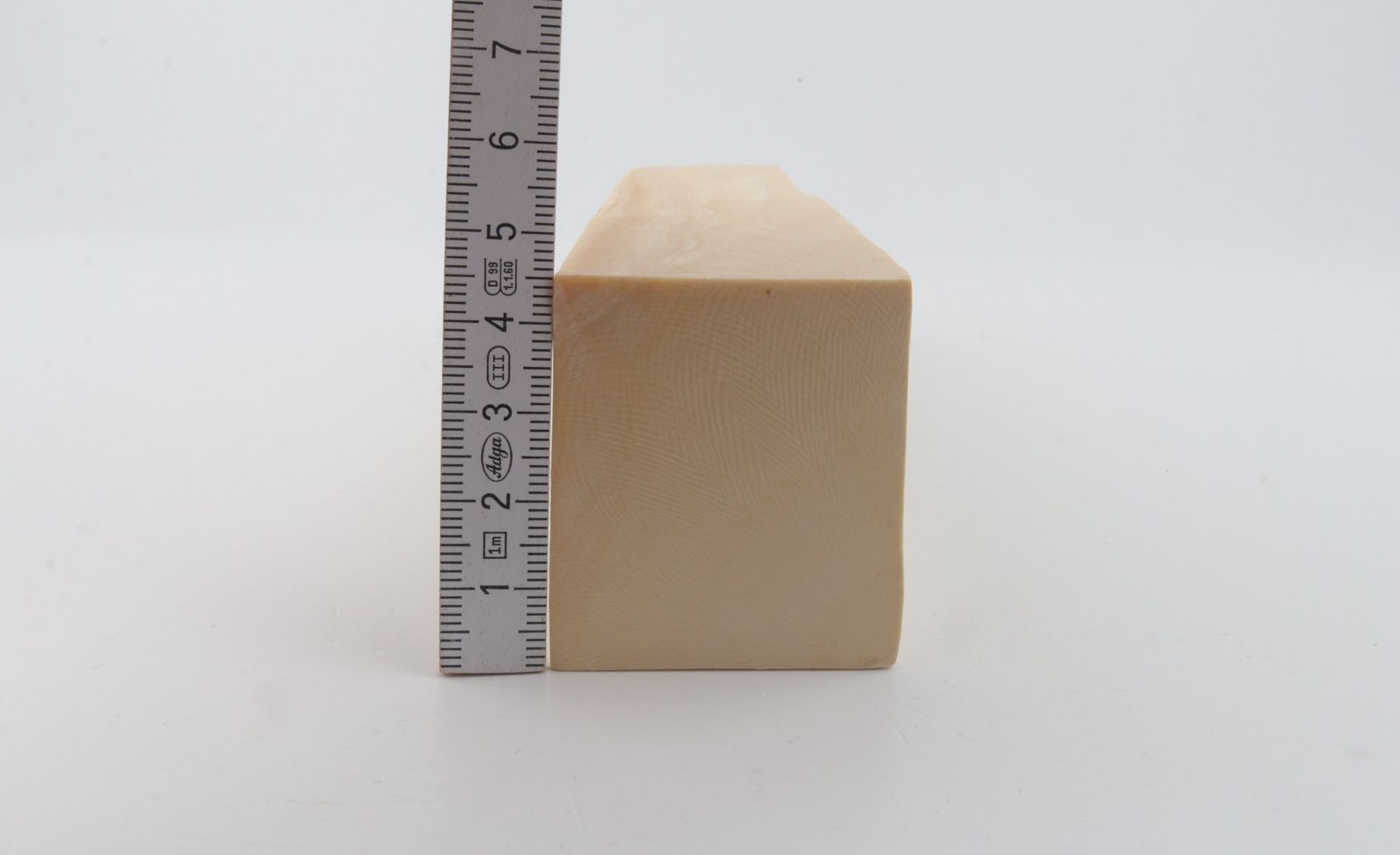 White mammoth ivory segment