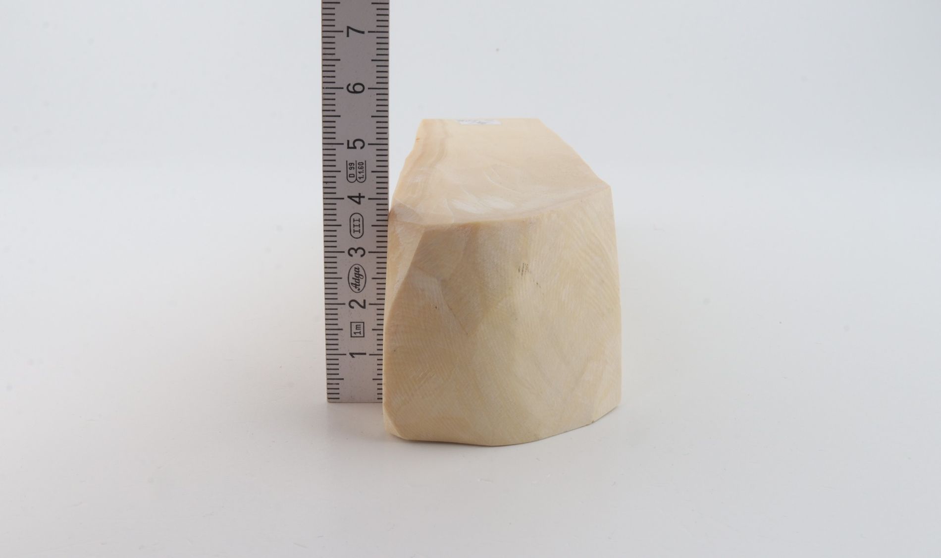 White mammoth ivory segment