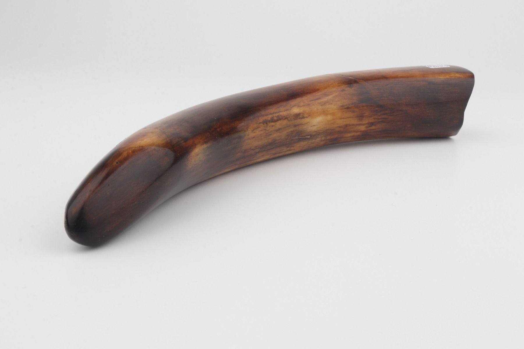 Restored mammoth tusk tip