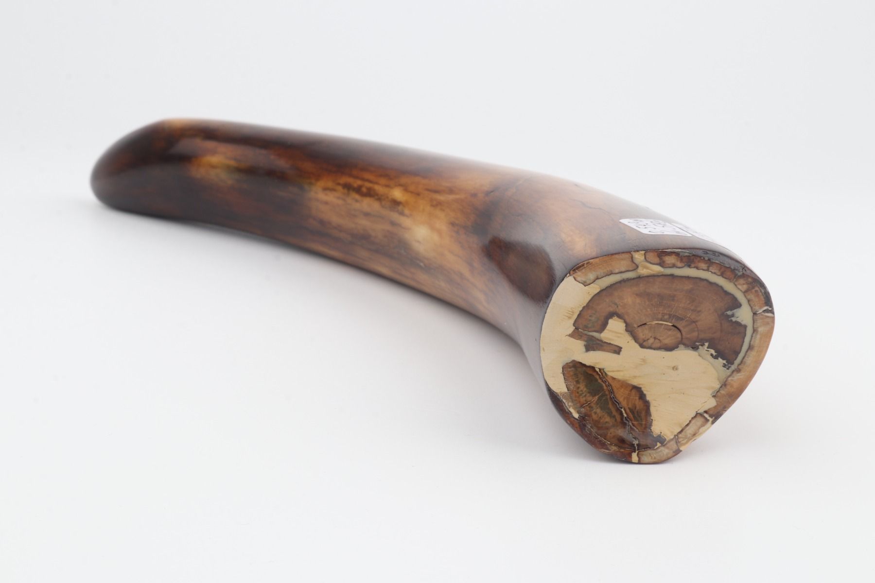 Restored mammoth tusk tip
