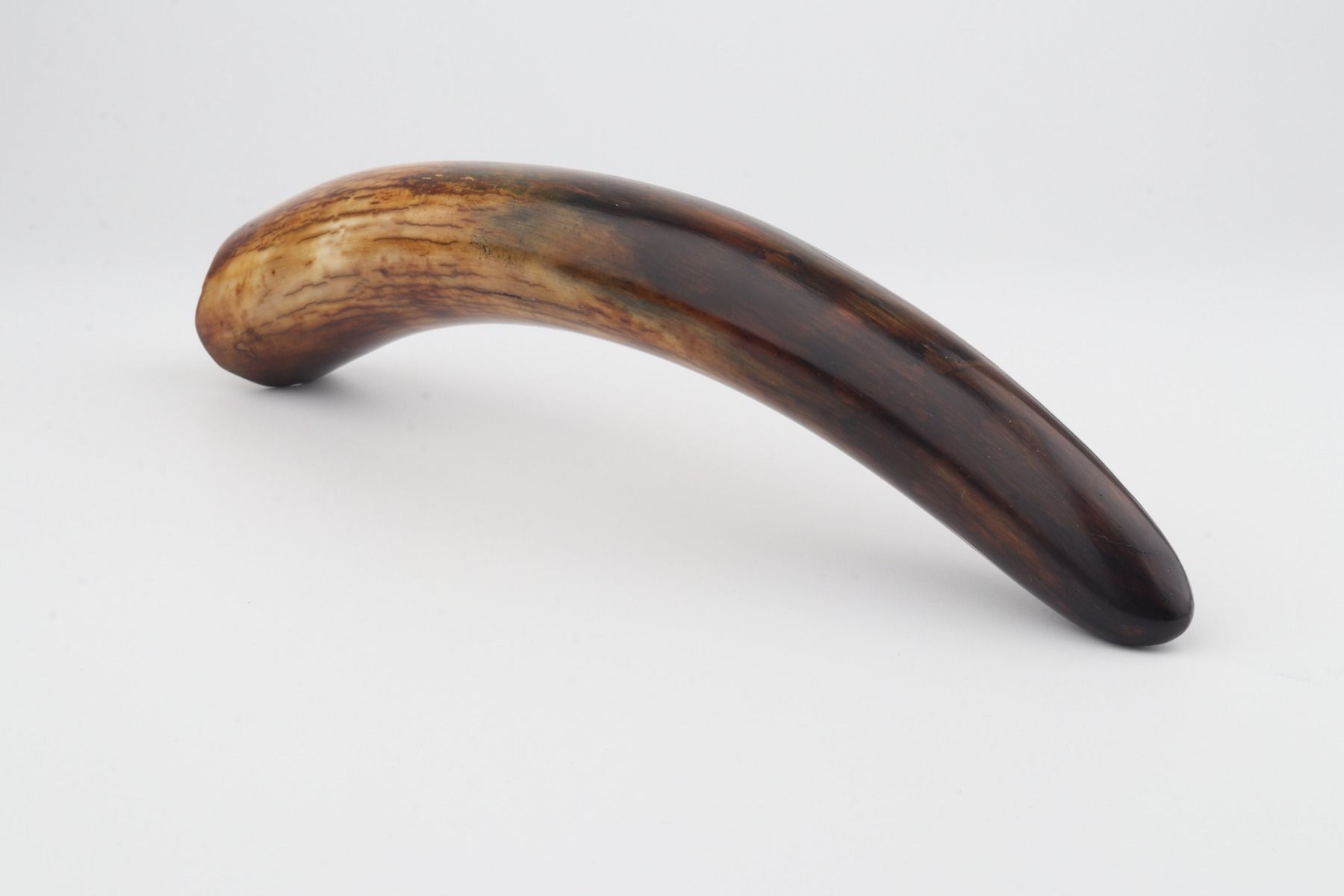 Restored mammoth tusk tip