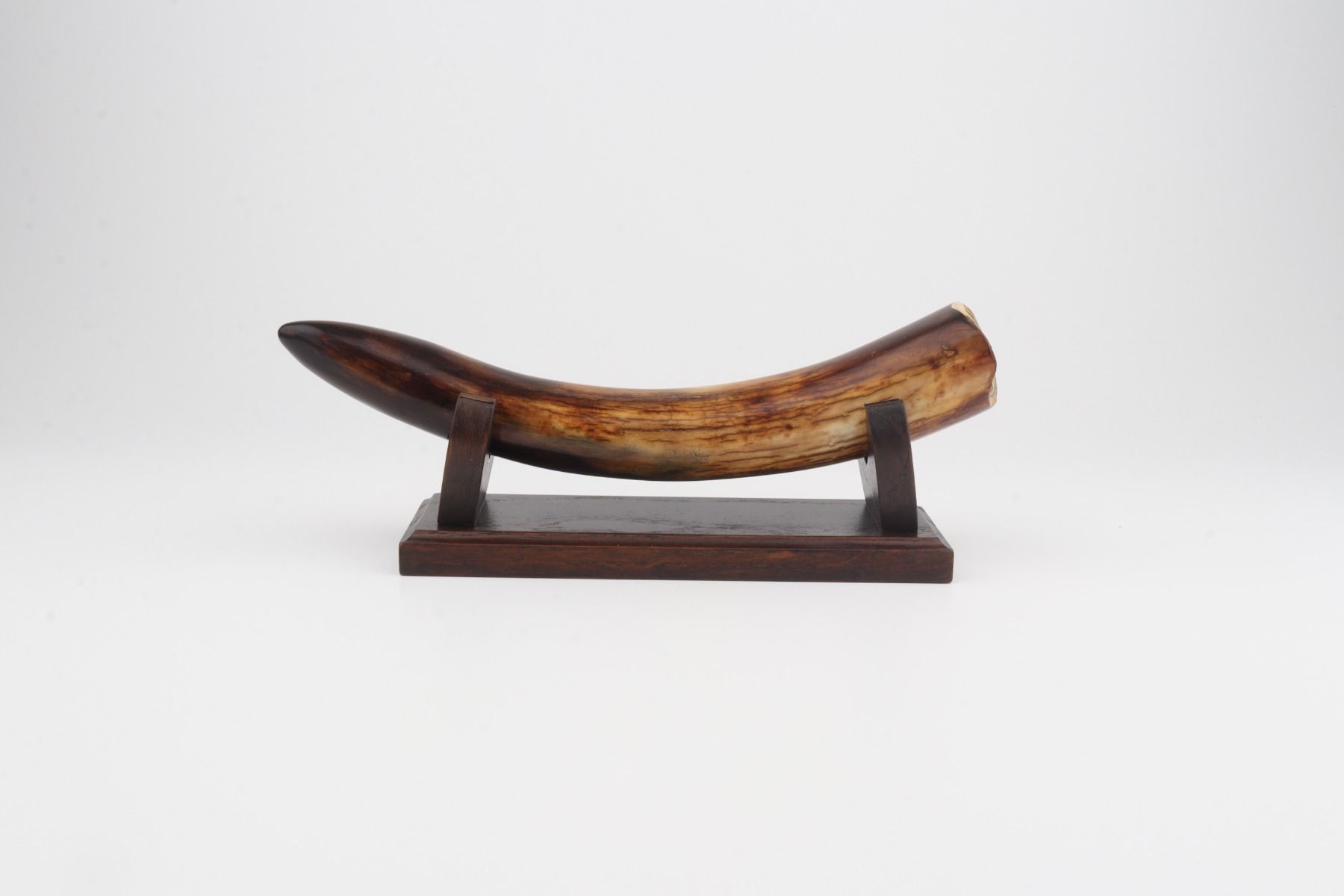 Restored mammoth tusk tip
