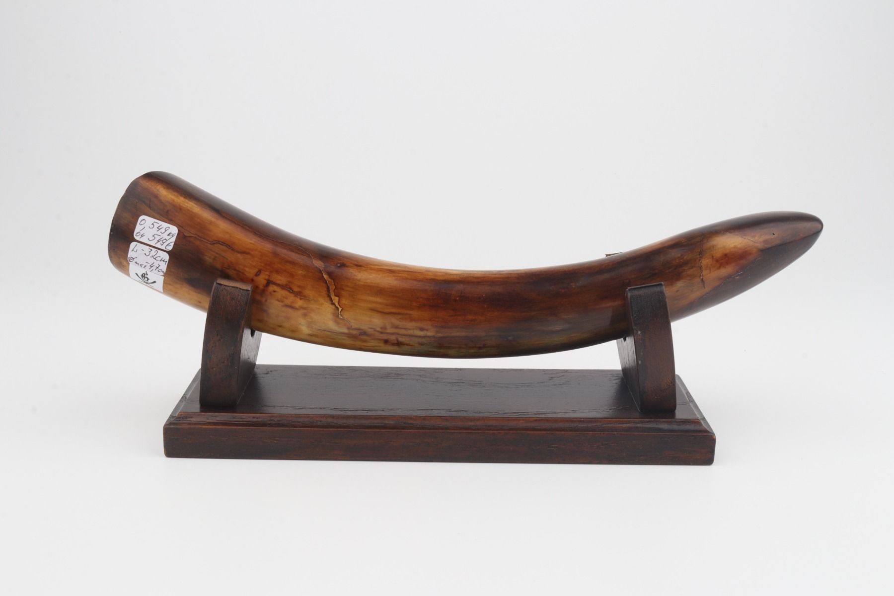 Restored mammoth tusk tip