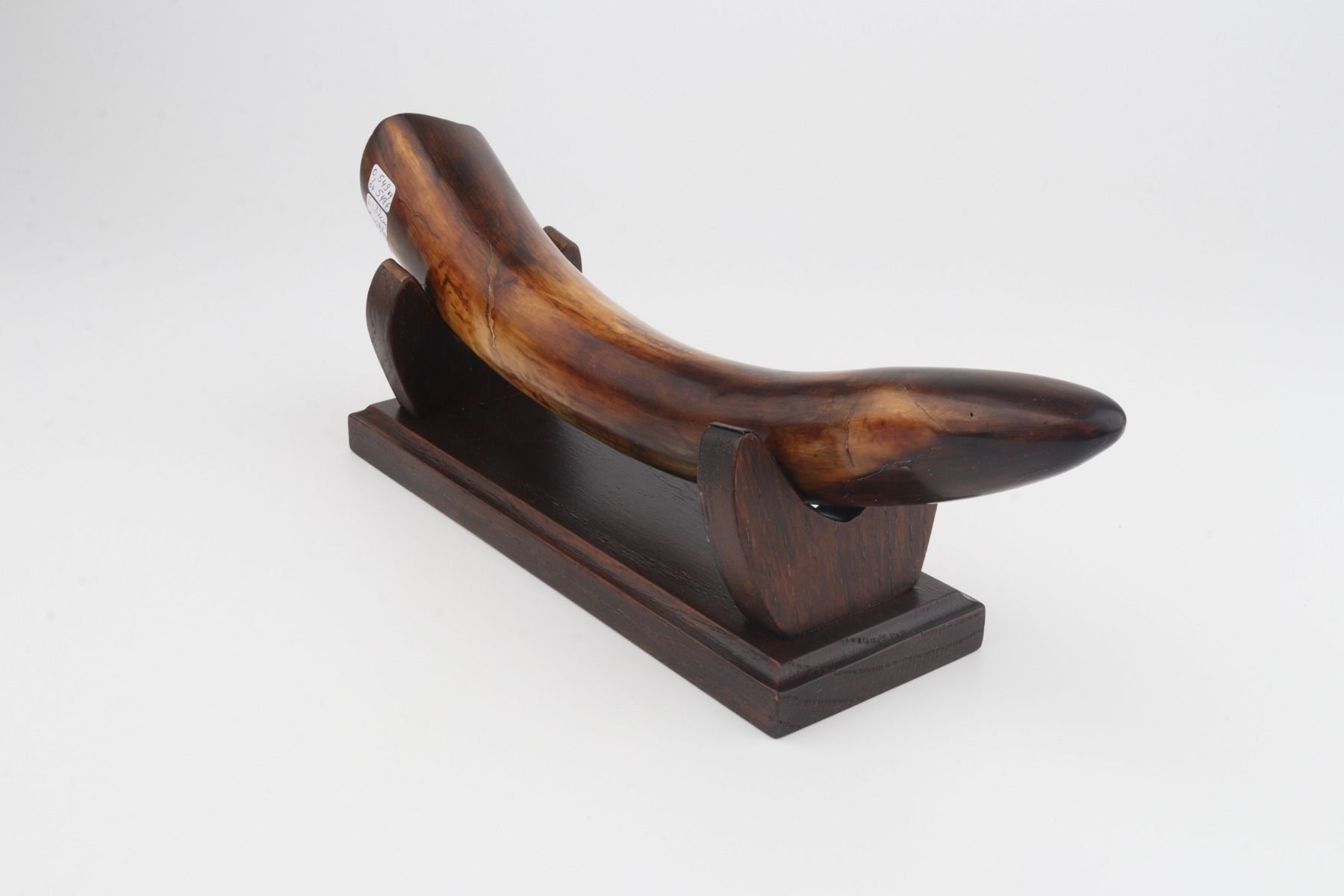 Restored mammoth tusk tip