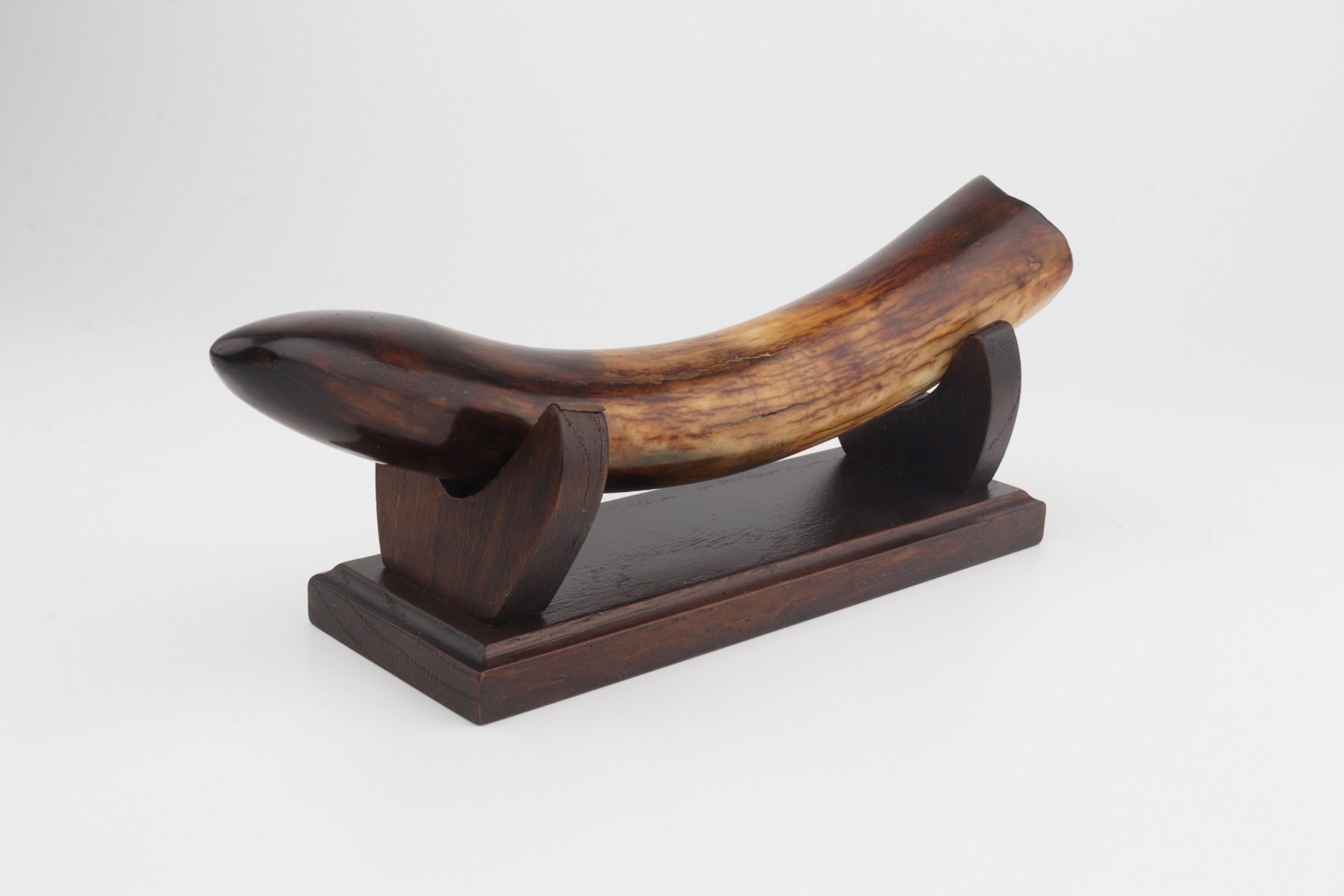Restored mammoth tusk tip