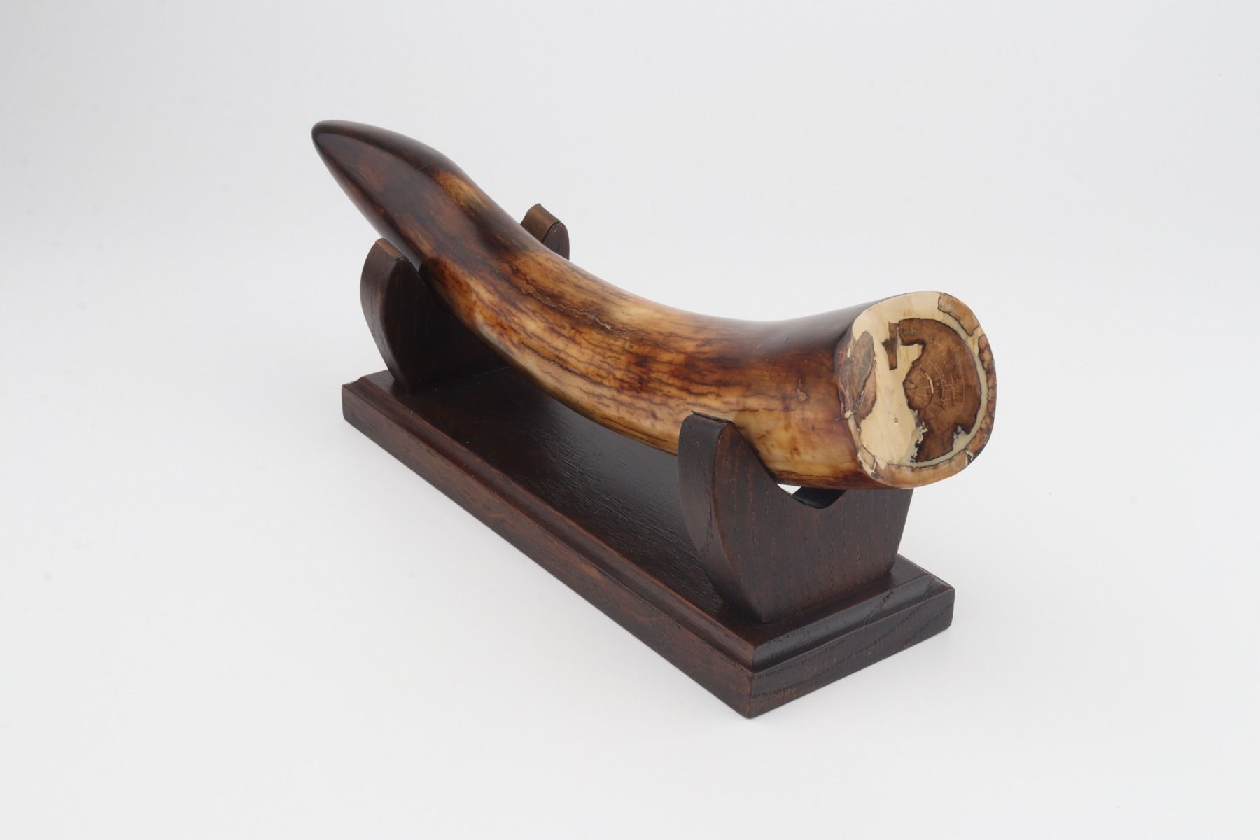 Restored mammoth tusk tip