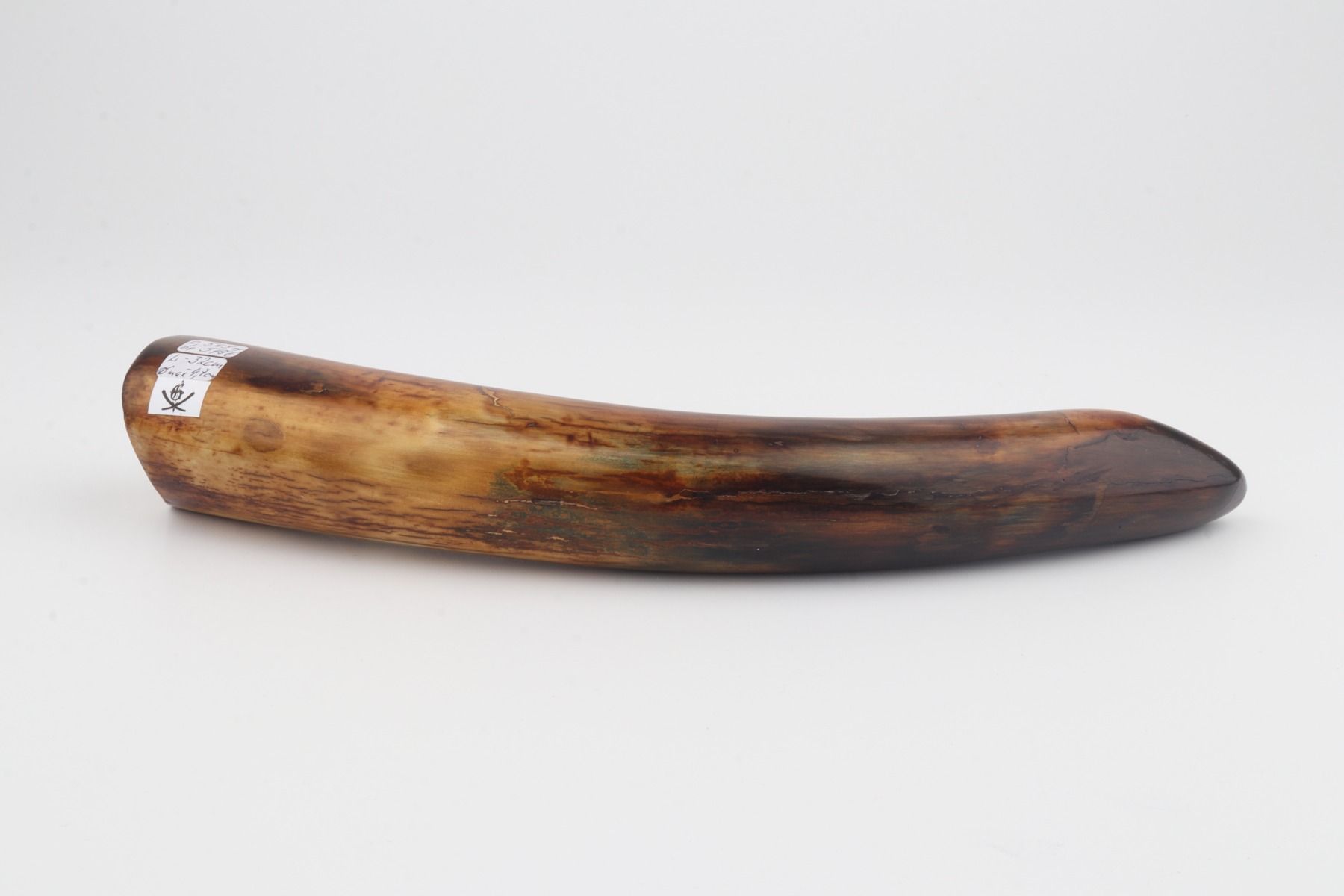 Restored mammoth tusk tip