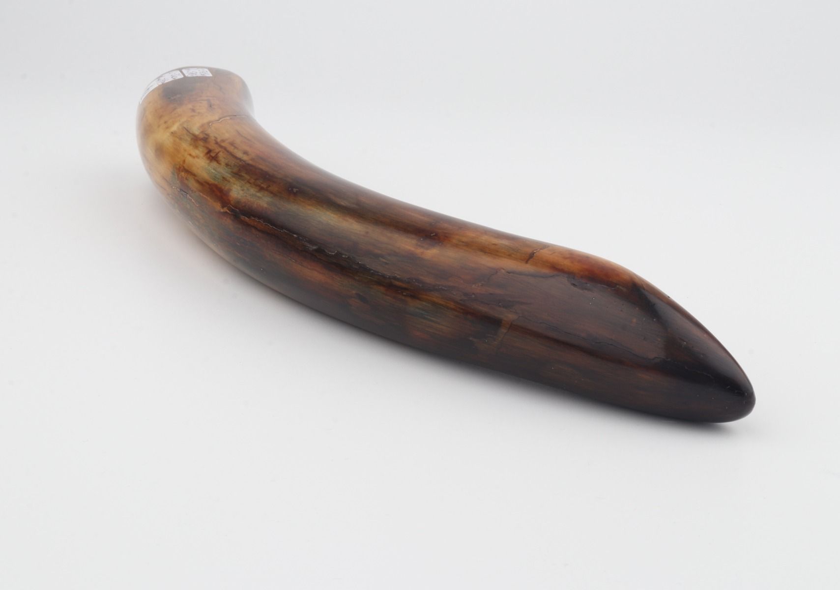 Restored mammoth tusk tip
