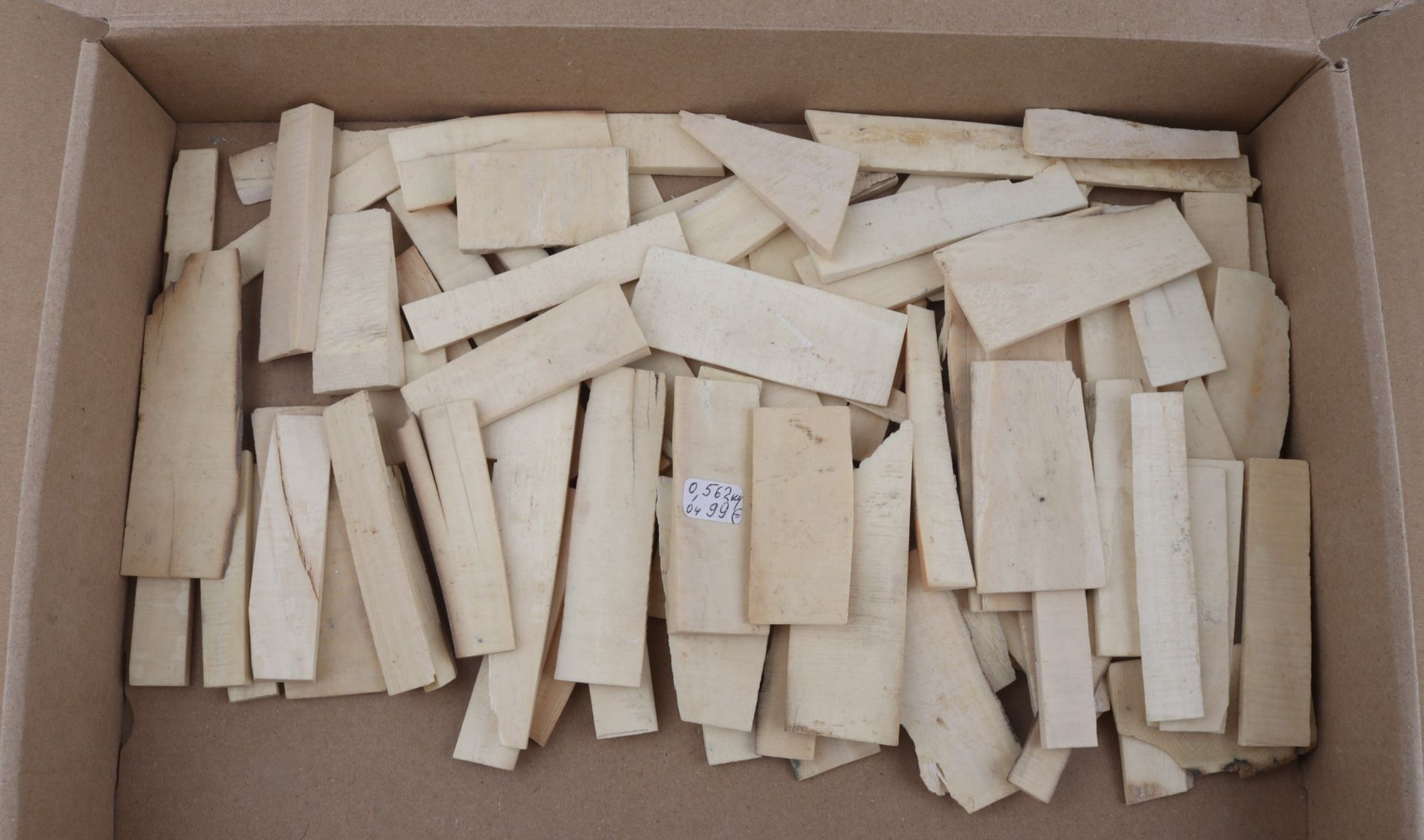 White mammoth ivory pieces