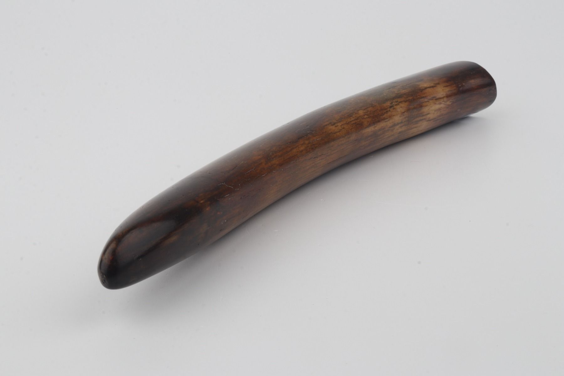 Restored woolly mammoth tusk