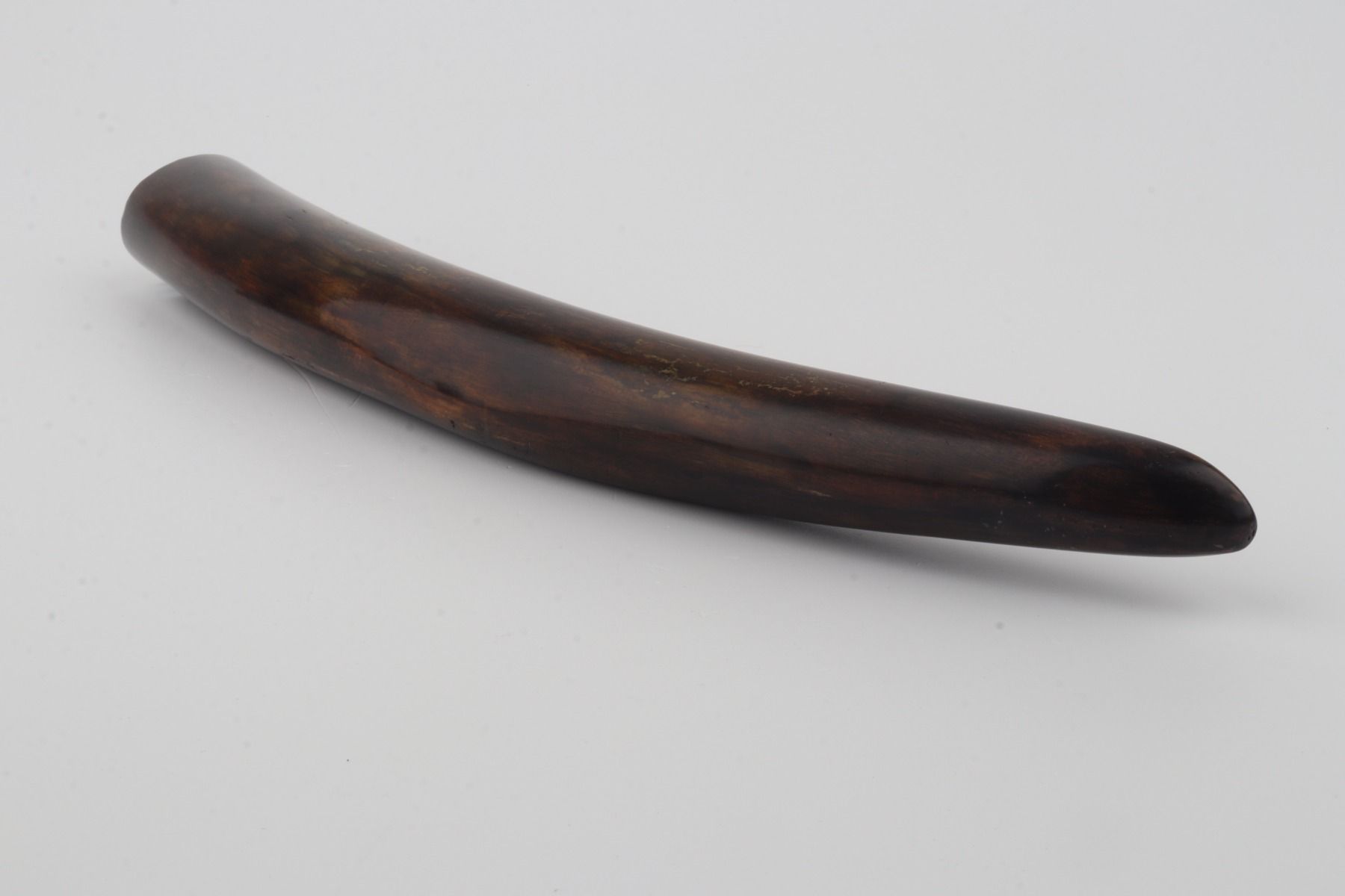 Restored woolly mammoth tusk