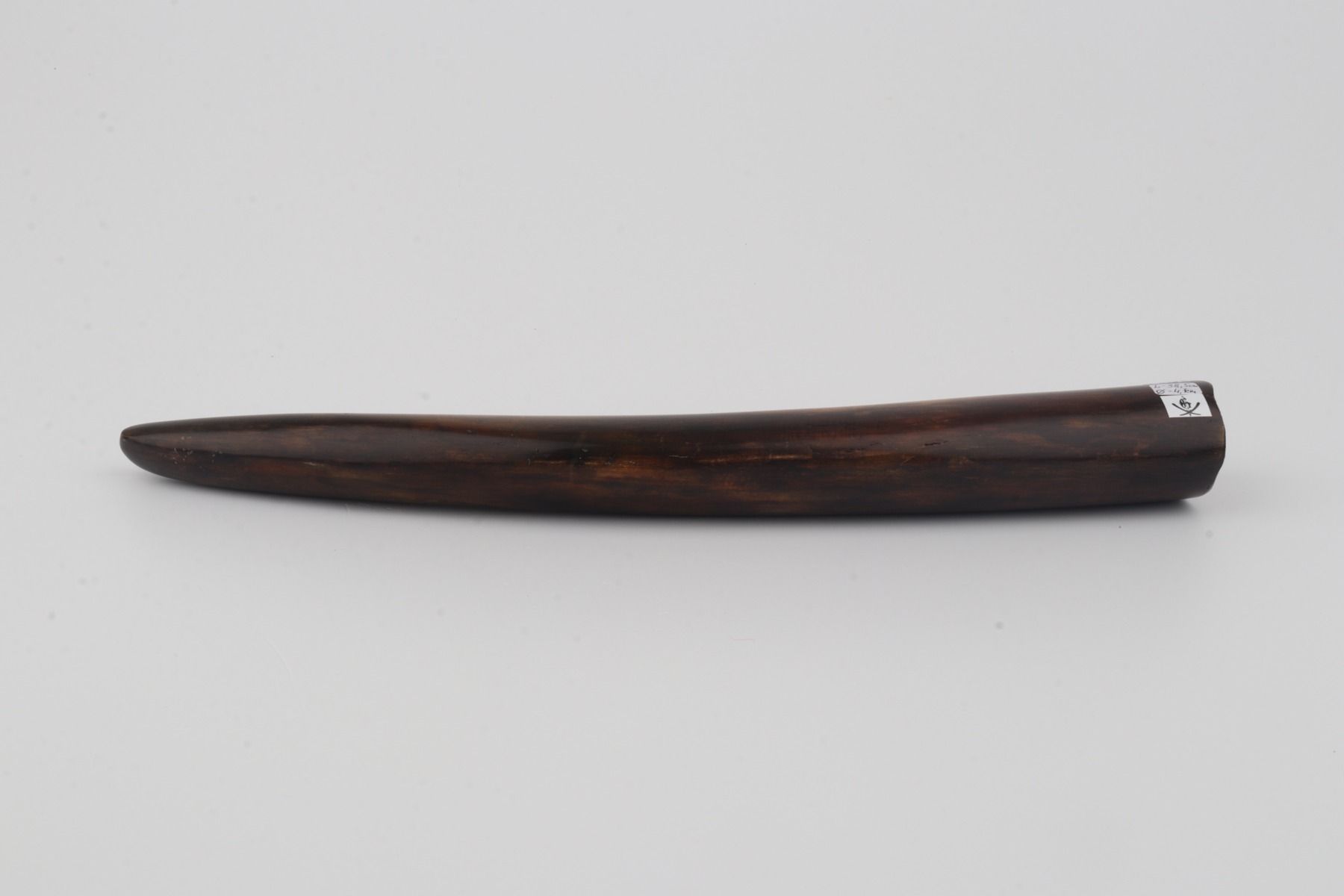 Restored woolly mammoth tusk