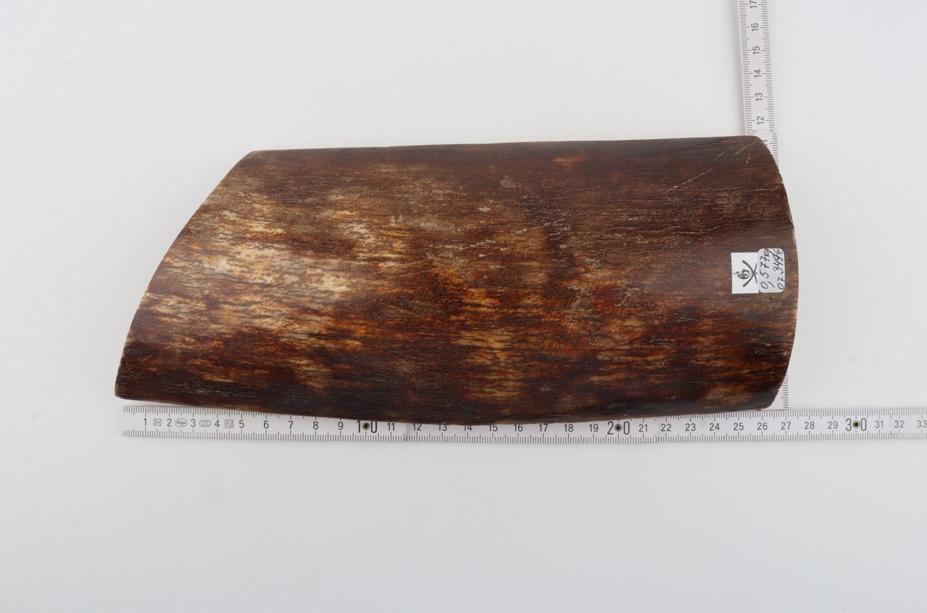 Brown-orange mammoth bark