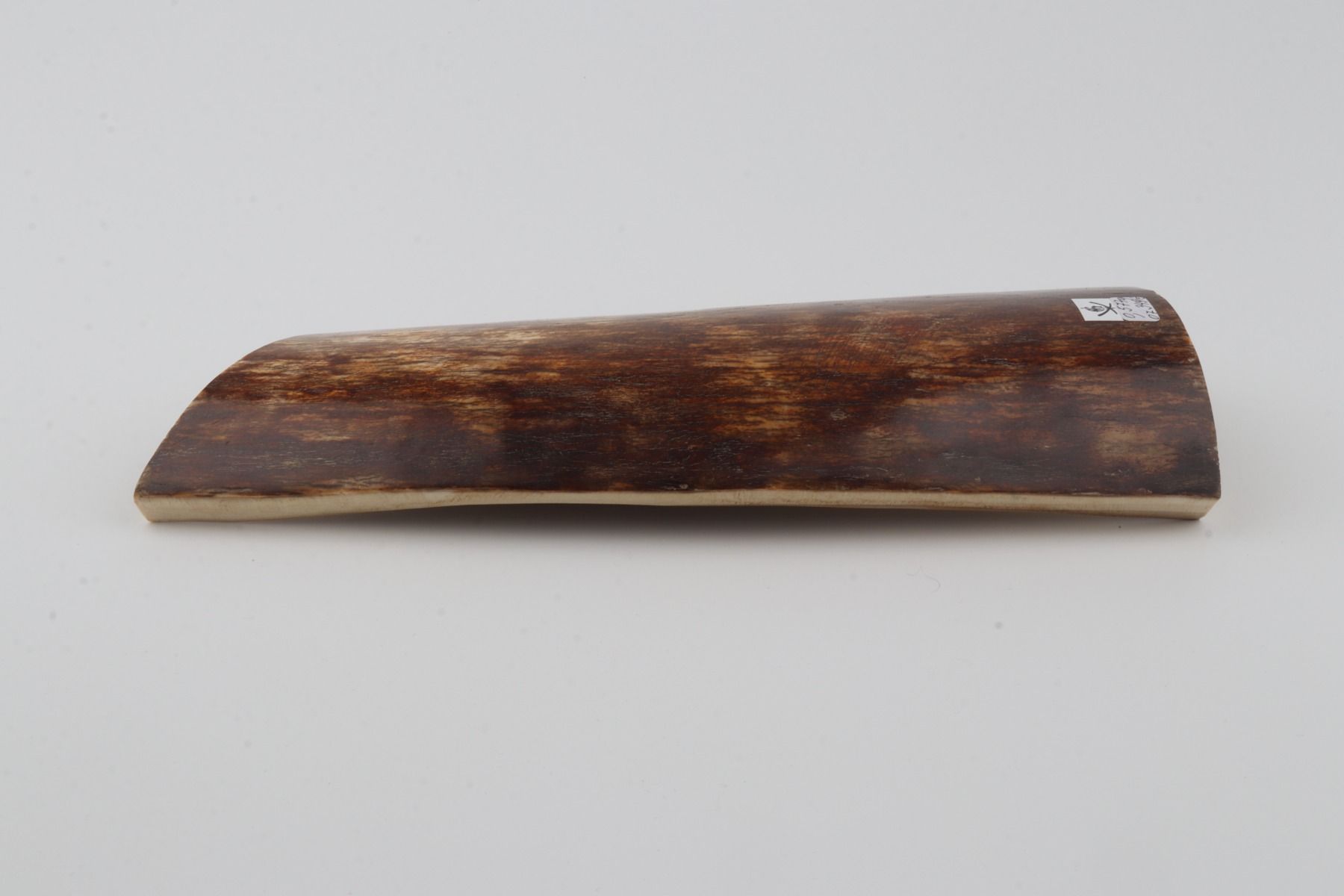 Brown-orange mammoth bark