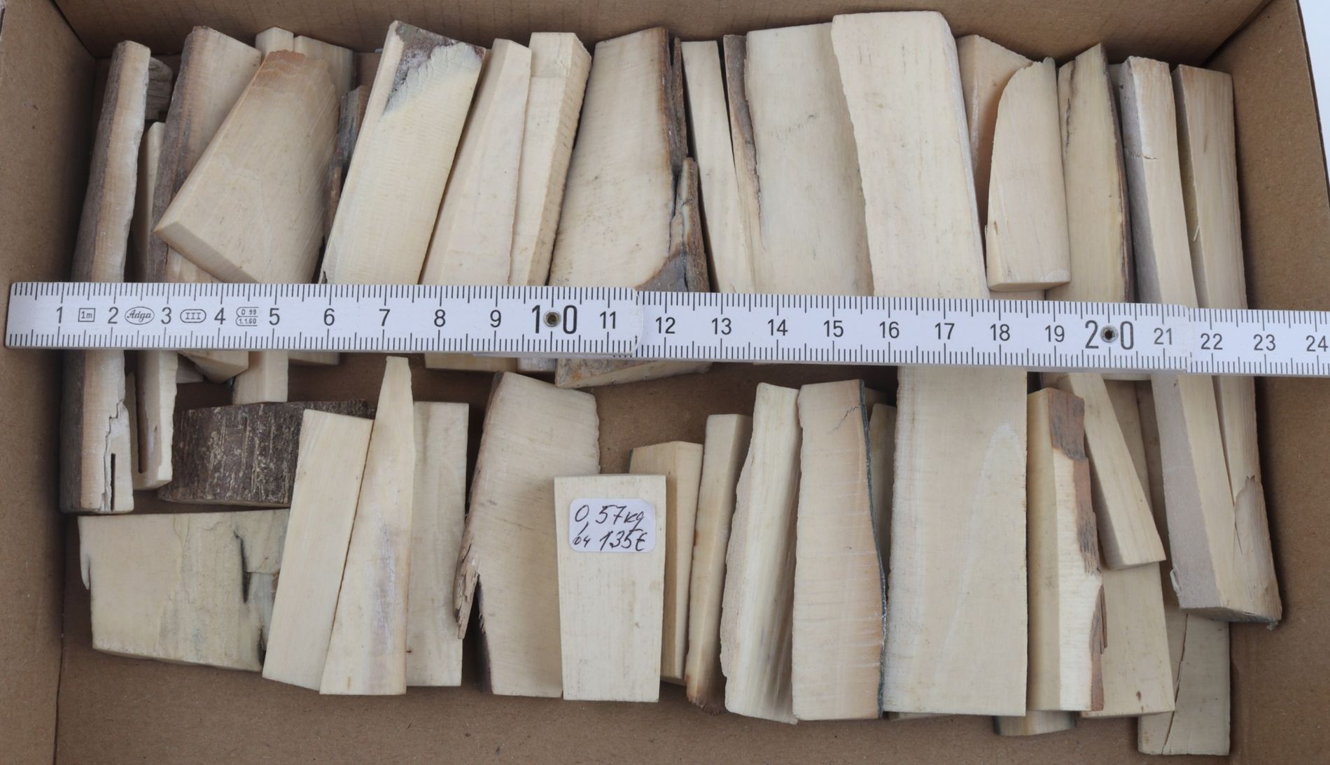 Untreated white mammoth ivory pieces