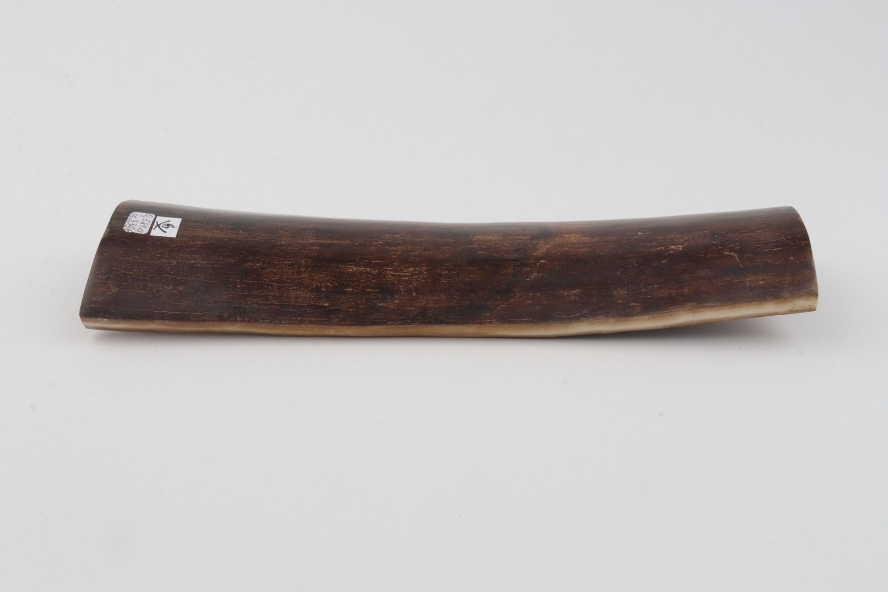 Brown mammoth bark