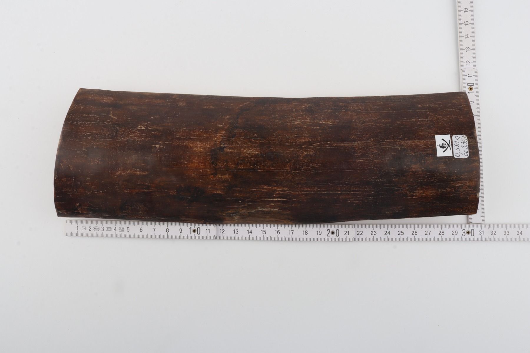 Brown mammoth bark
