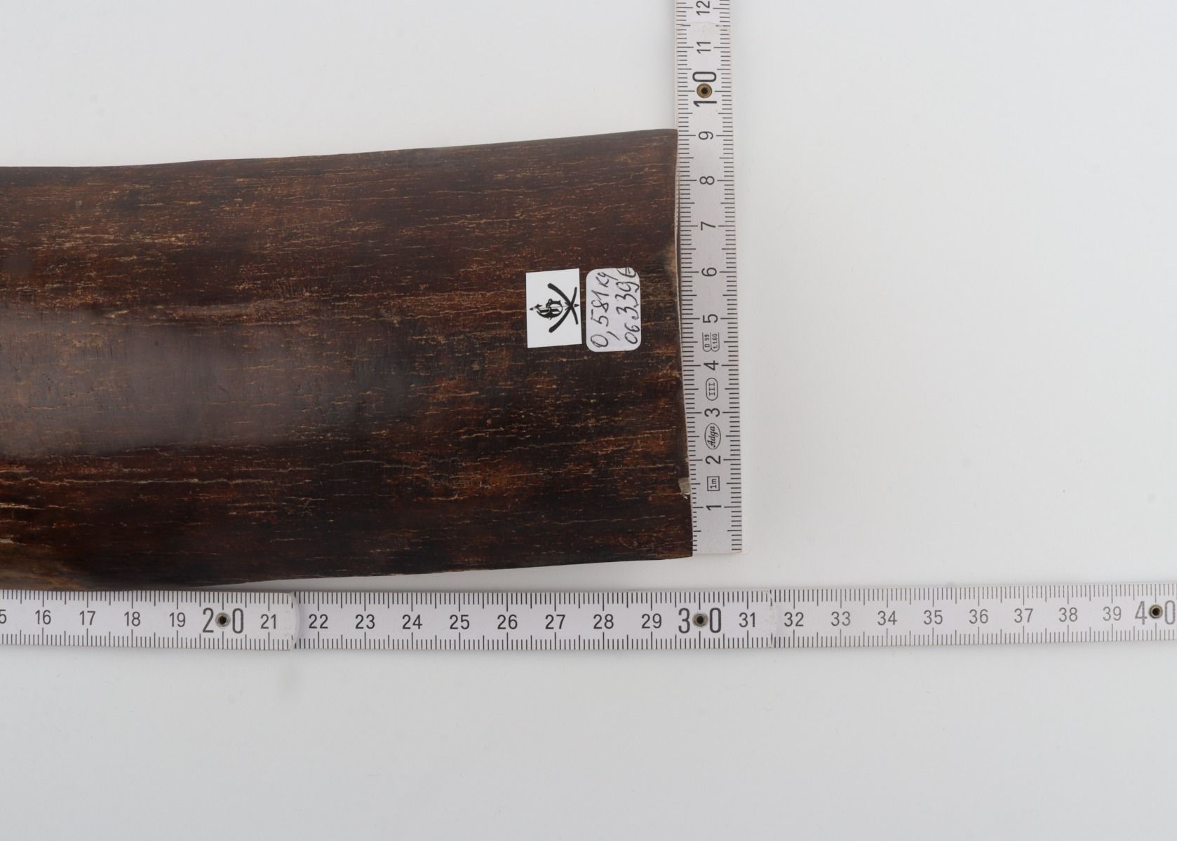 Brown mammoth bark