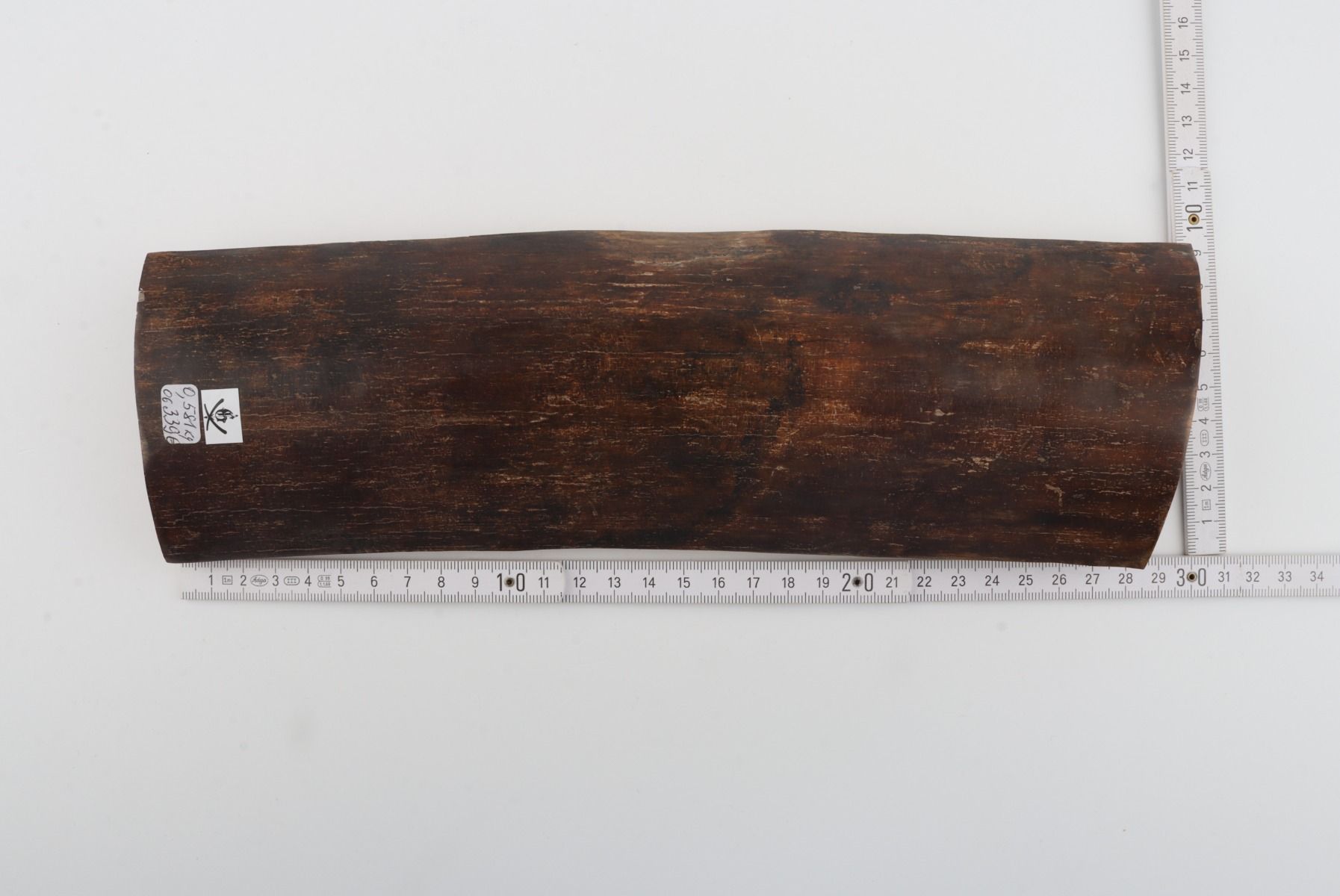 Brown mammoth bark