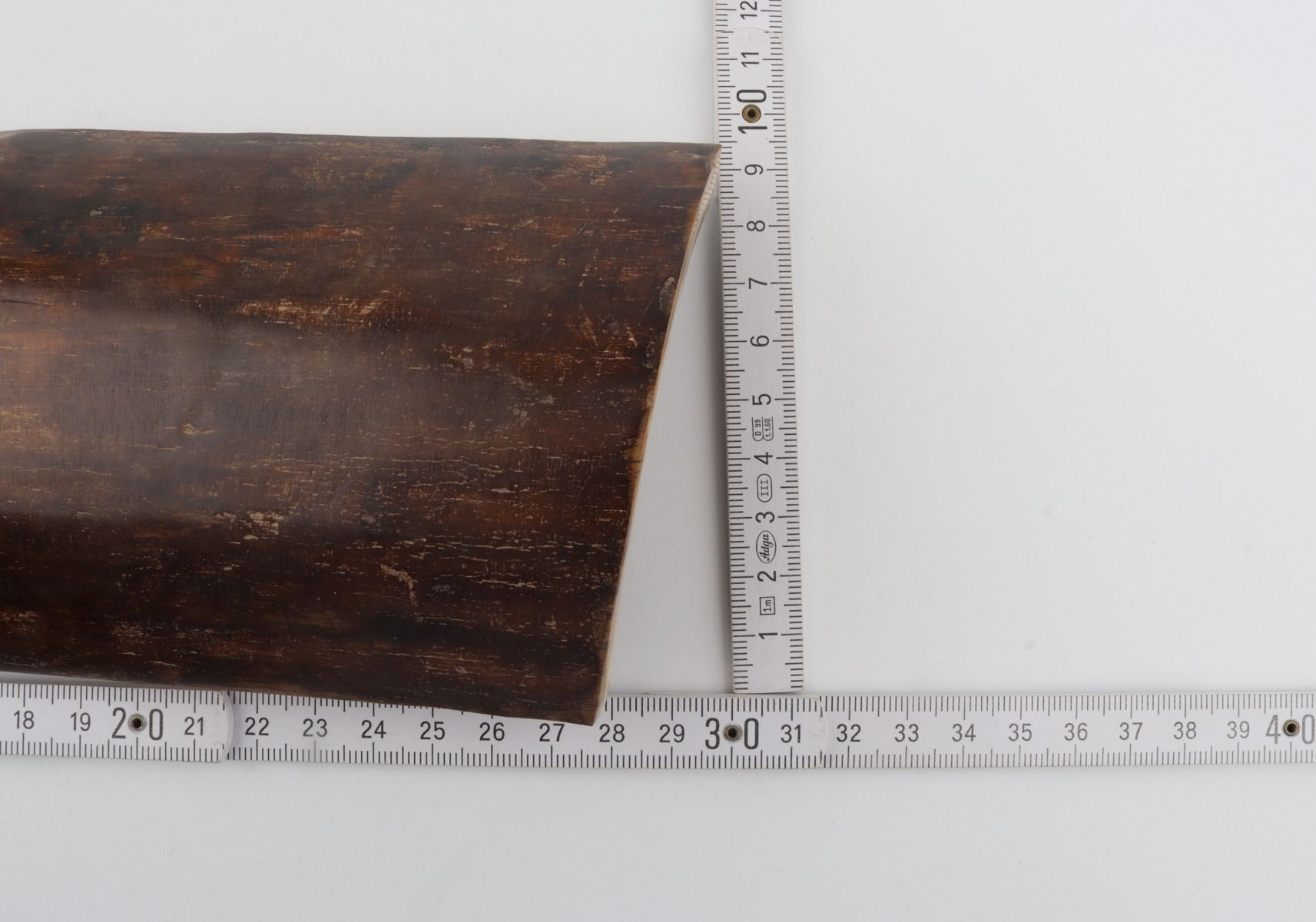 Brown mammoth bark