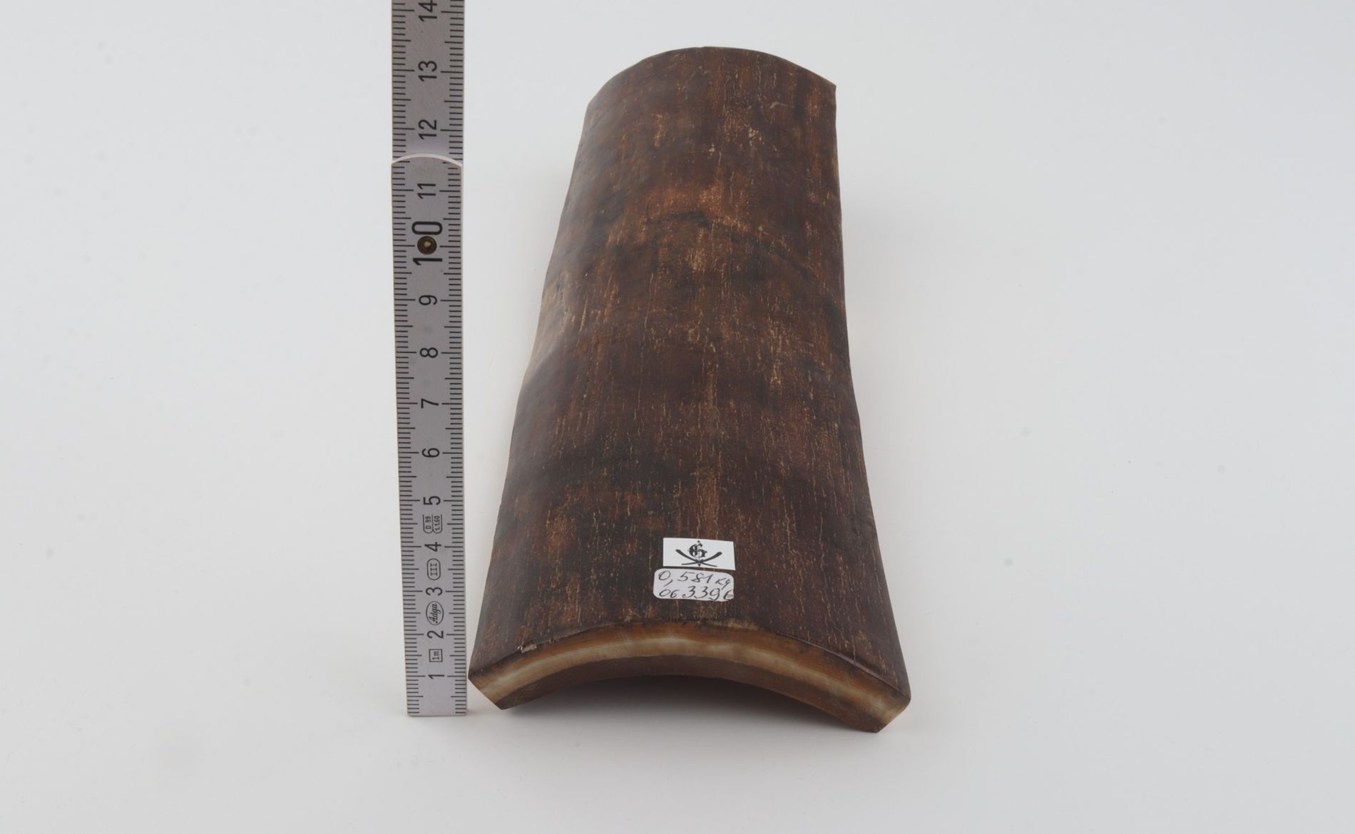Brown mammoth bark